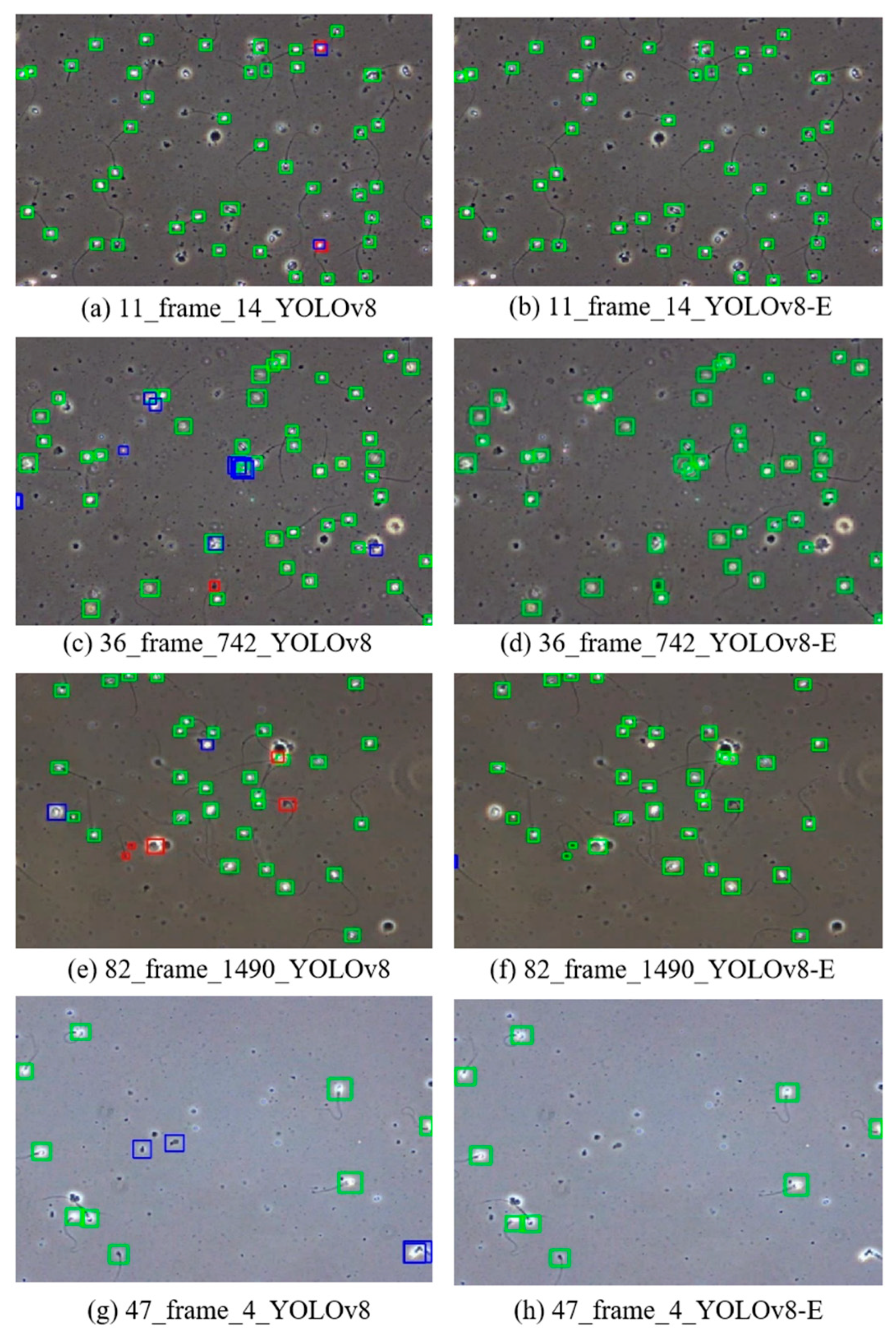 Sensors 24 03493 g012