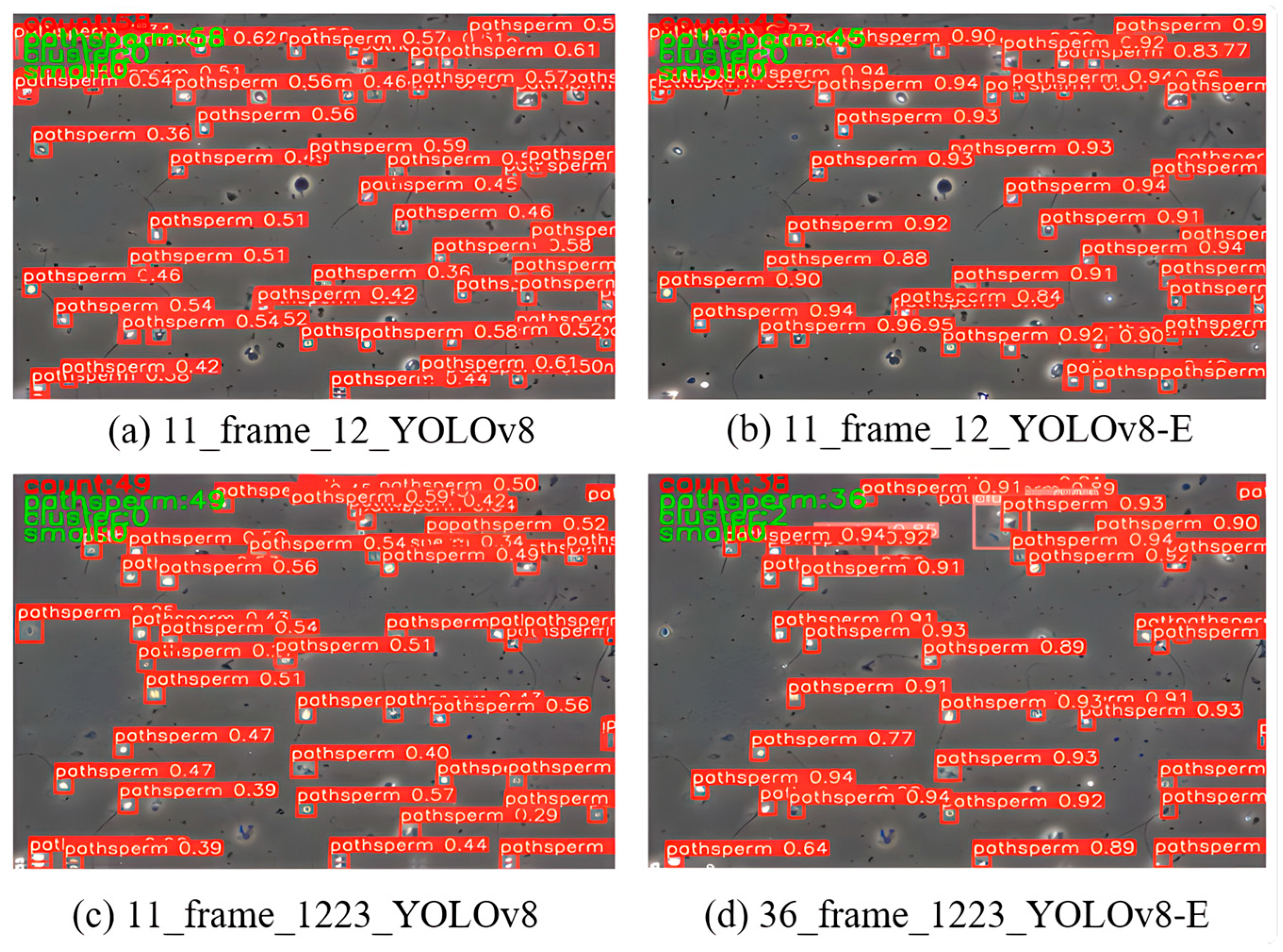Sensors 24 03493 g013