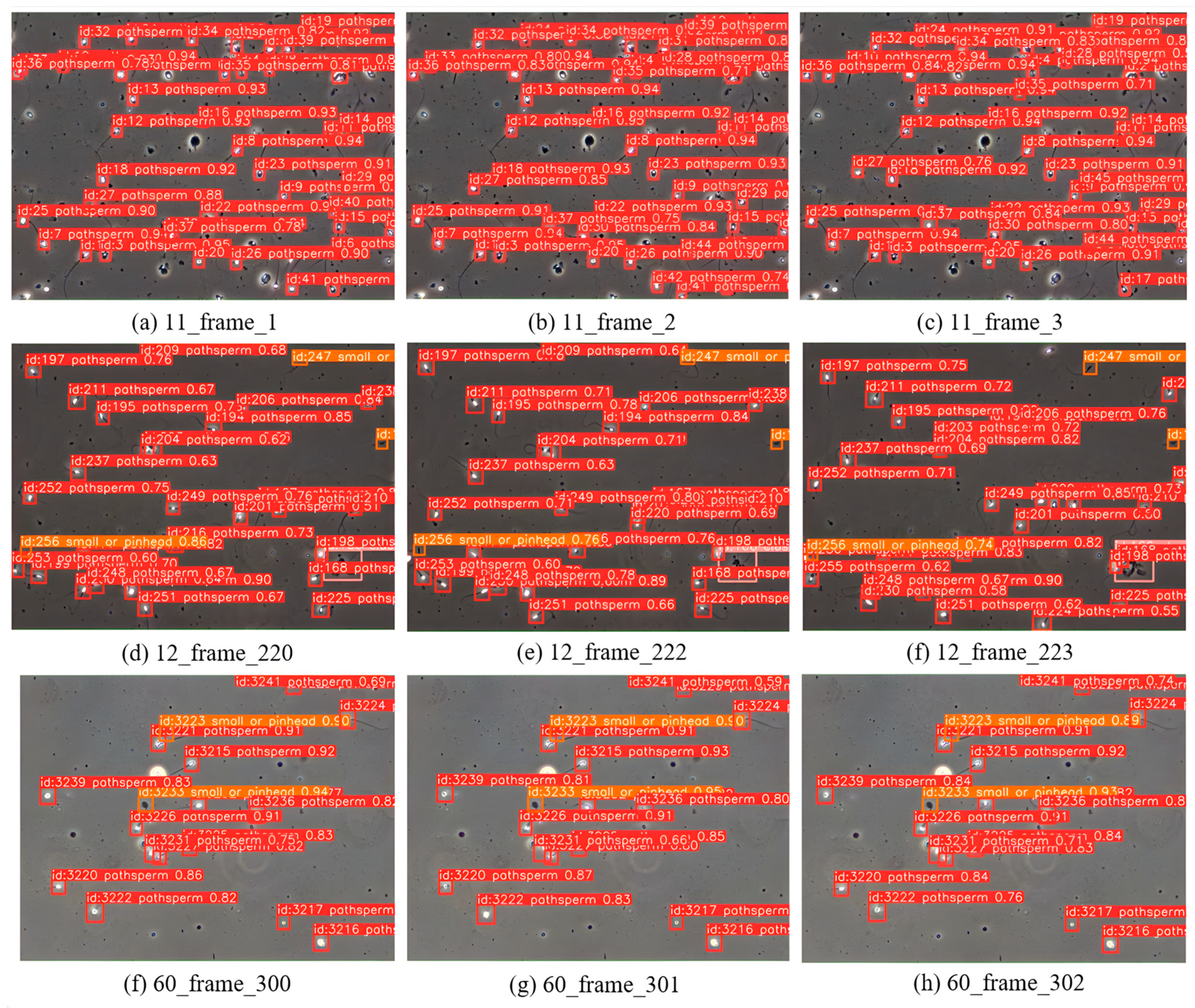 Sensors 24 03493 g014