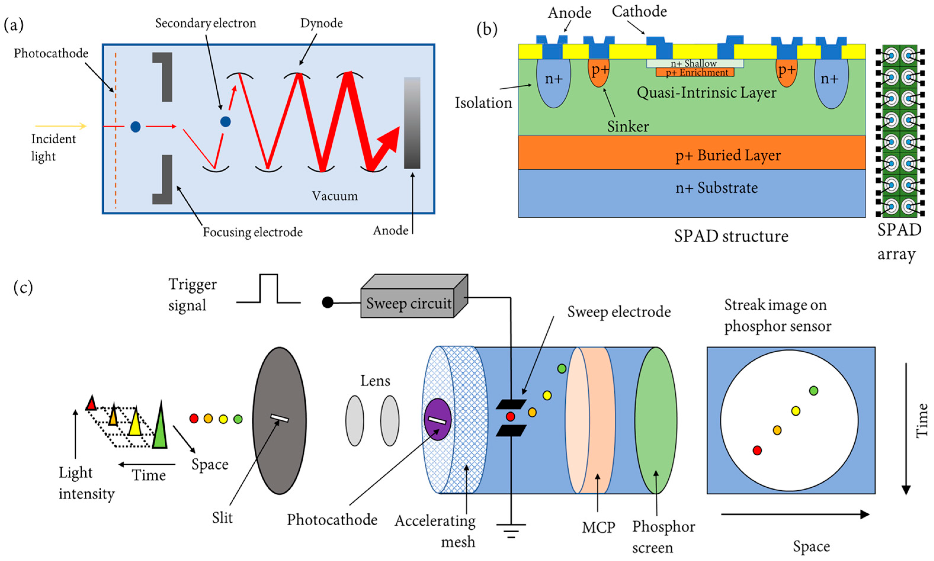 Sensors 24 03539 g007