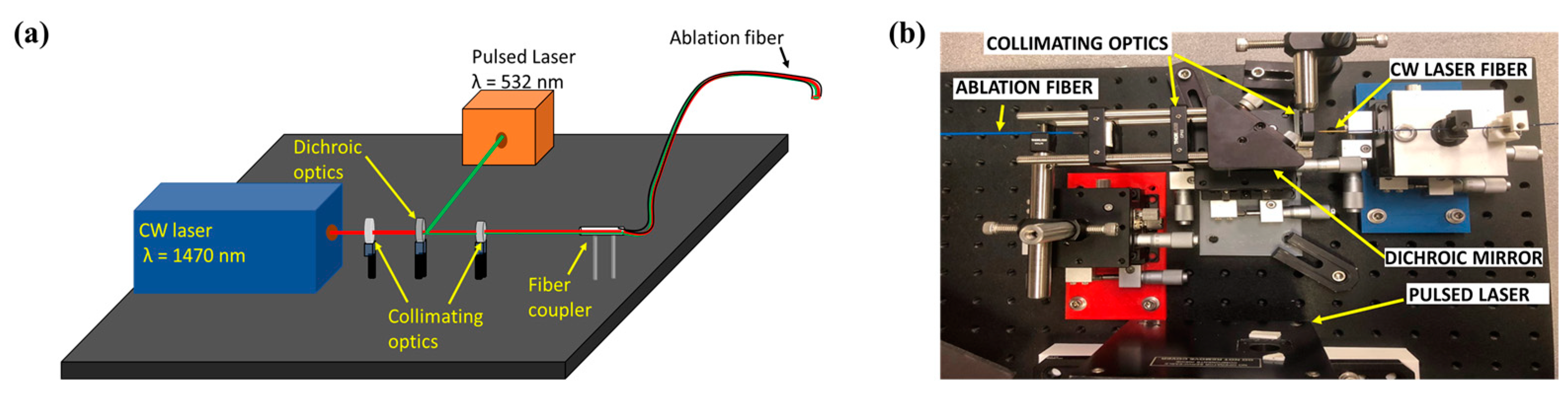 Sensors 24 03542 g007