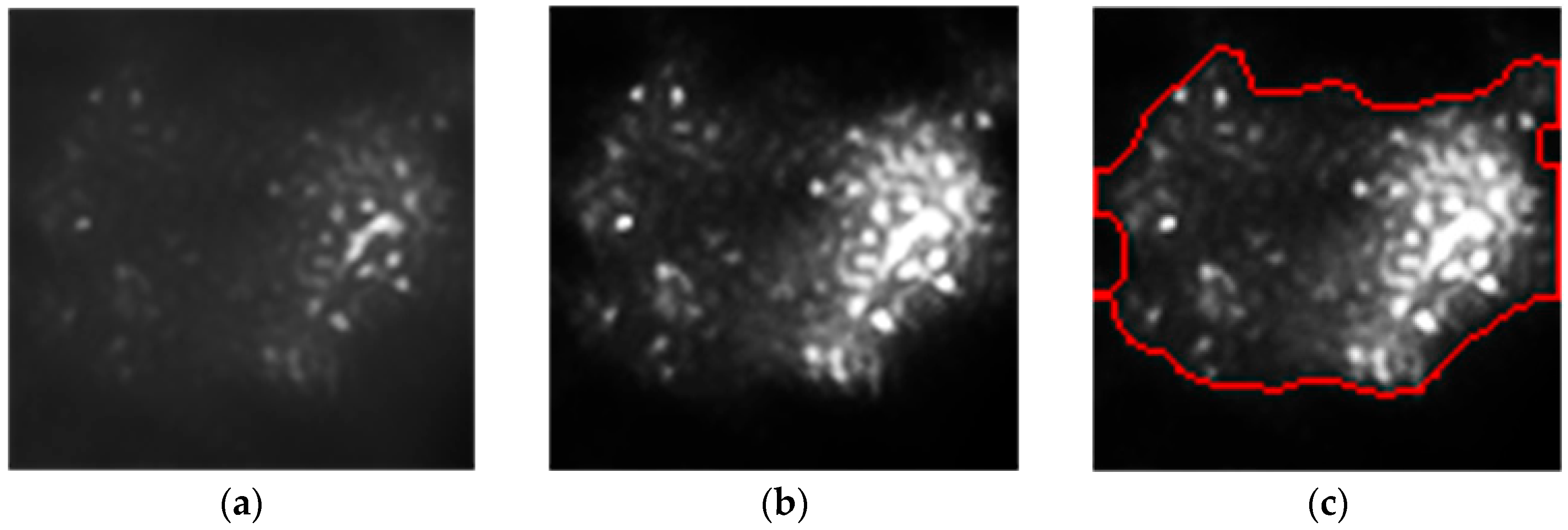 Sensors 24 03554 g005