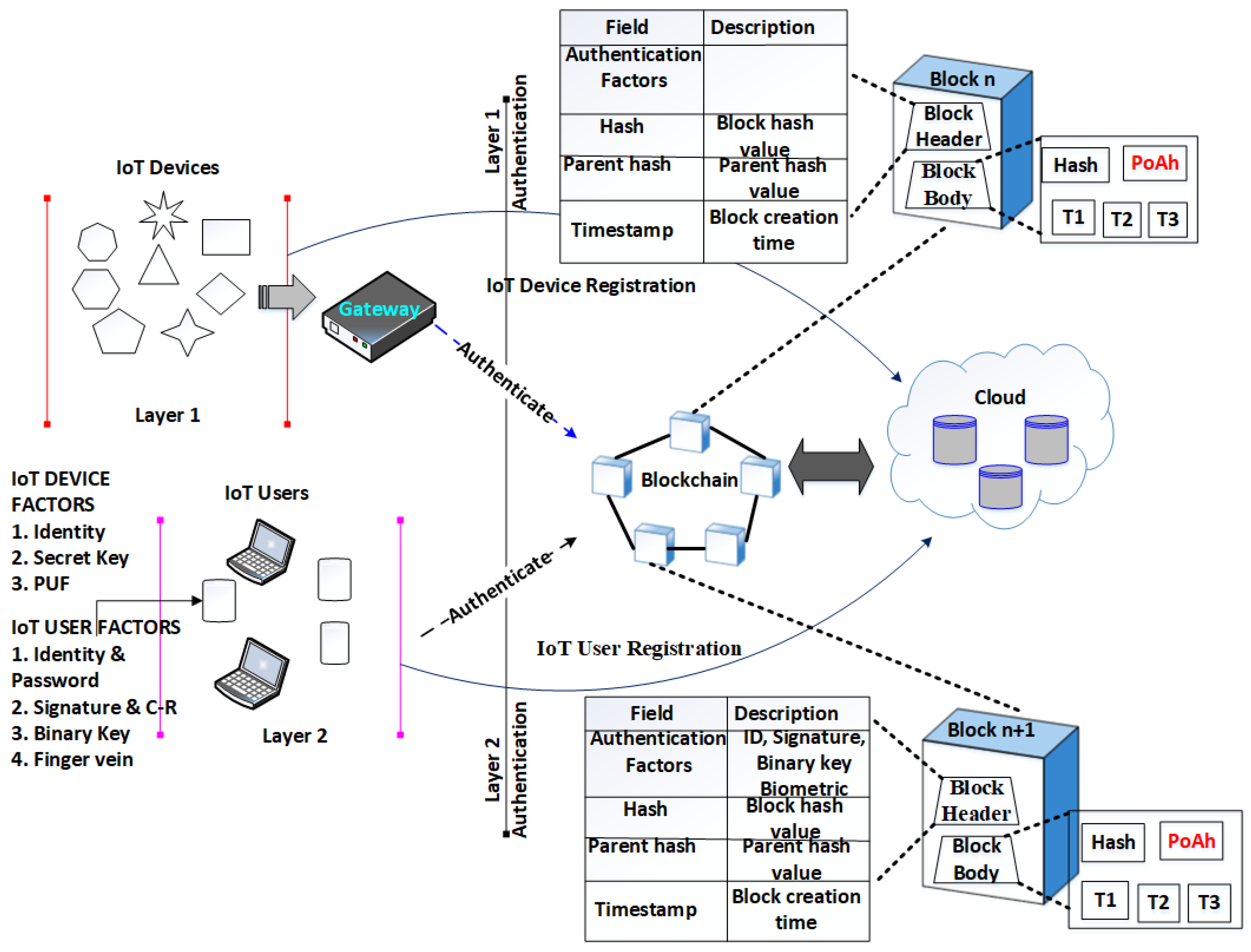 Sensors 24 03575 g002