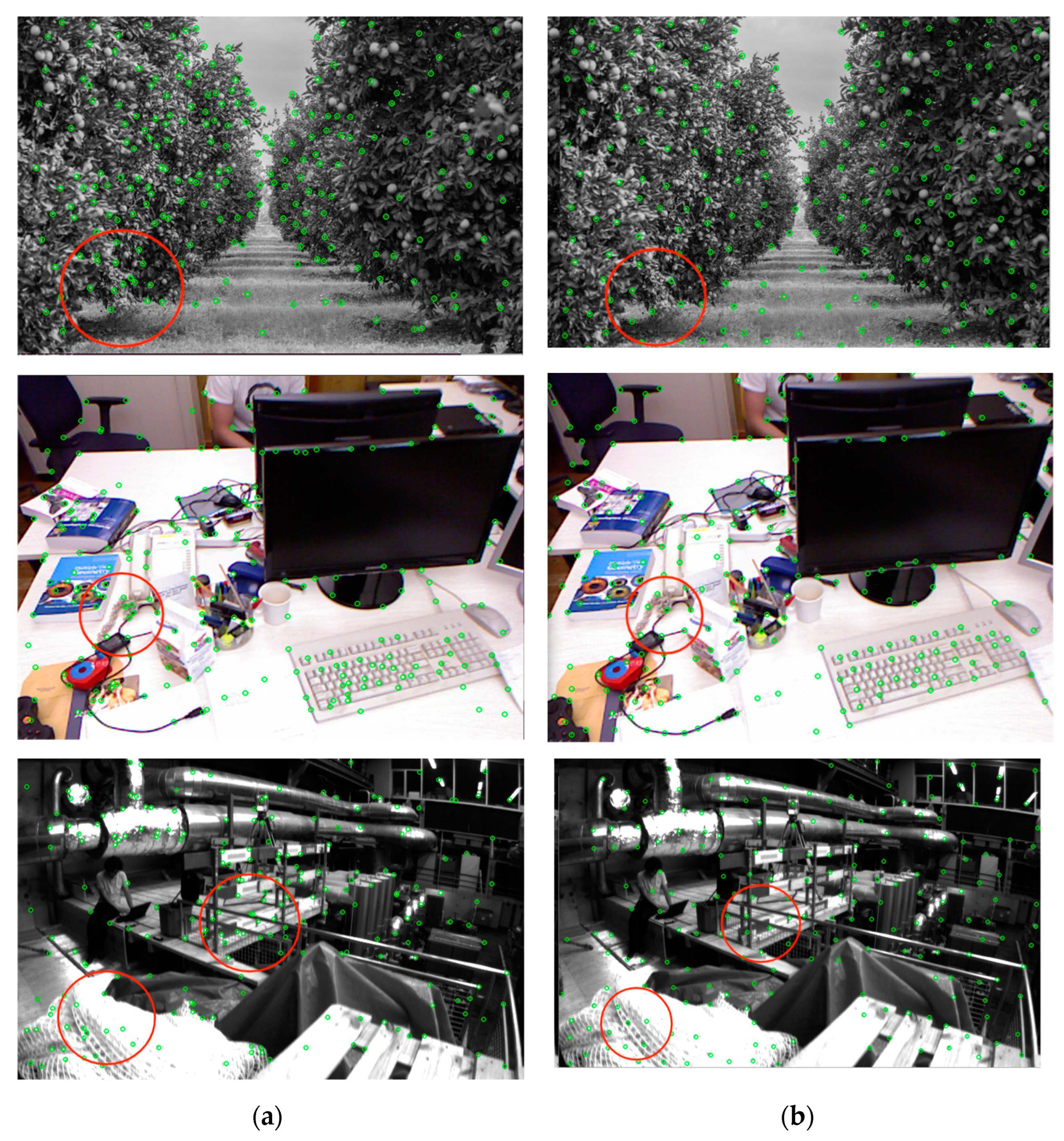 Sensors 24 03578 g006