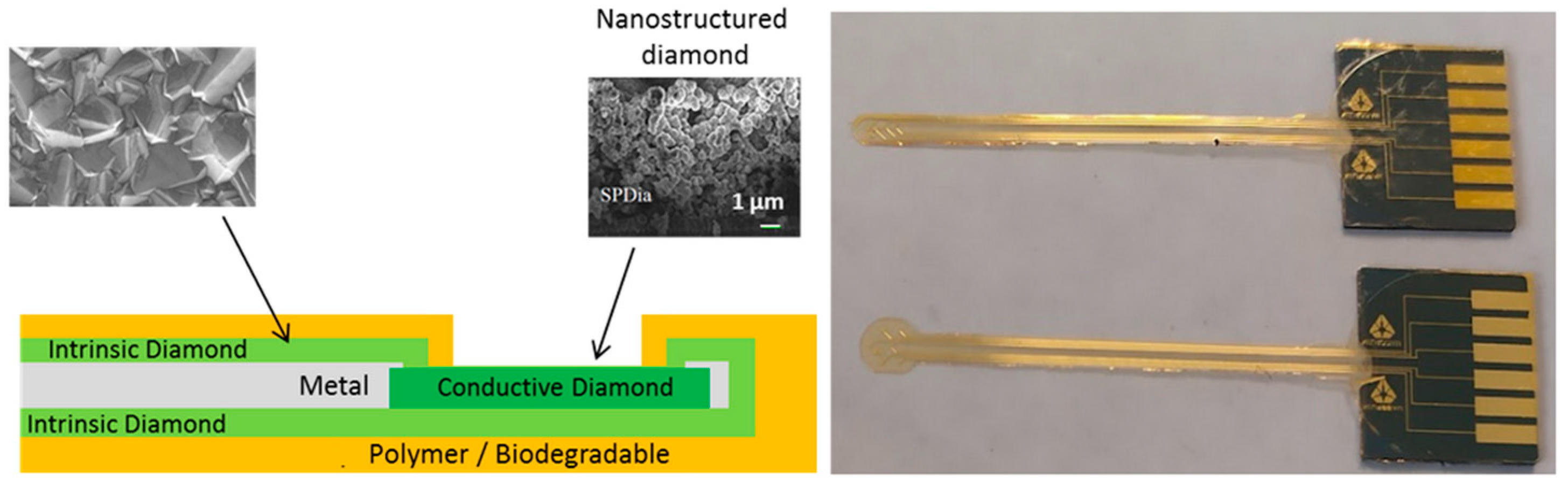 Sensors 24 03619 g001