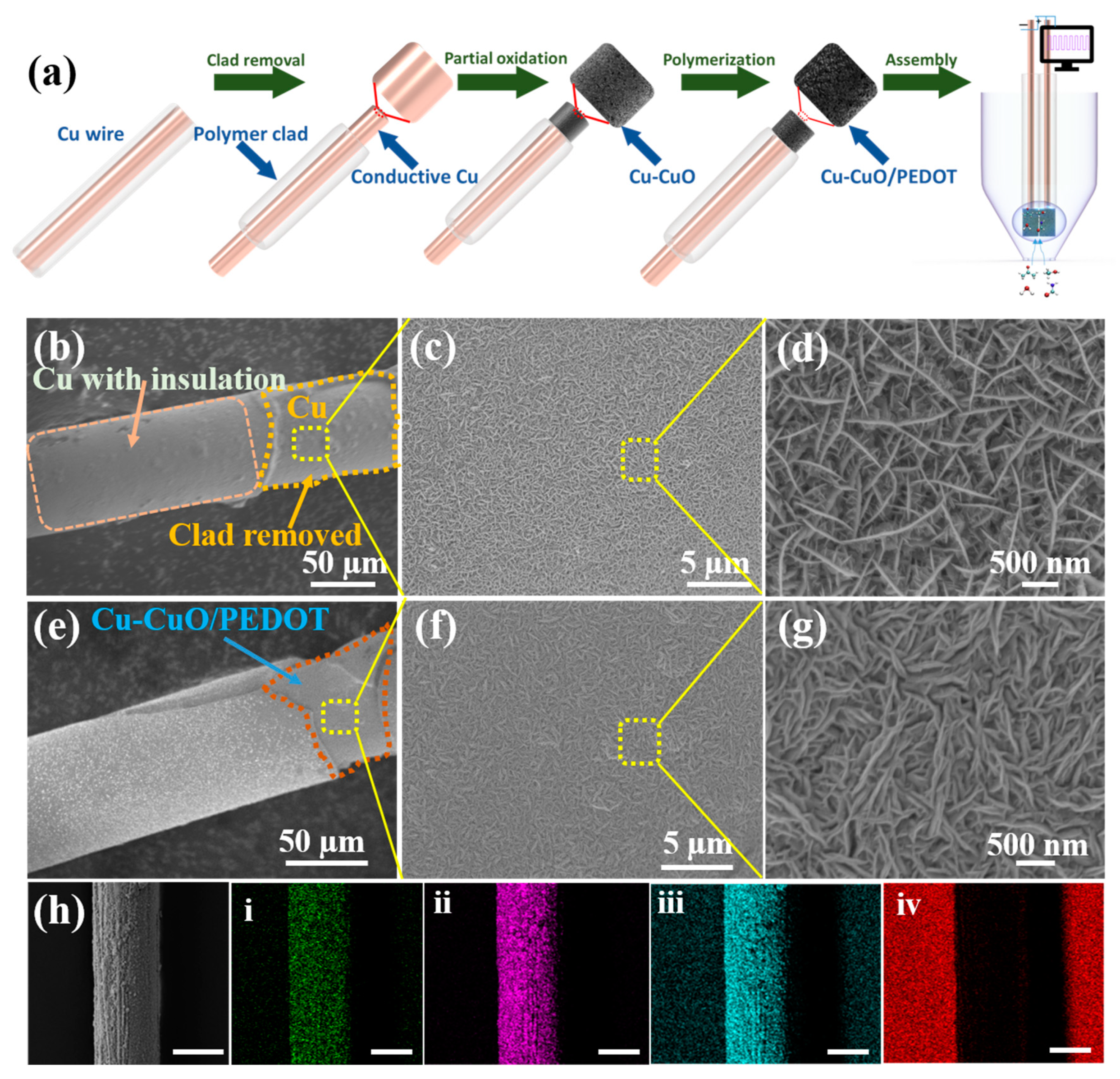 Sensors 24 03623 g001