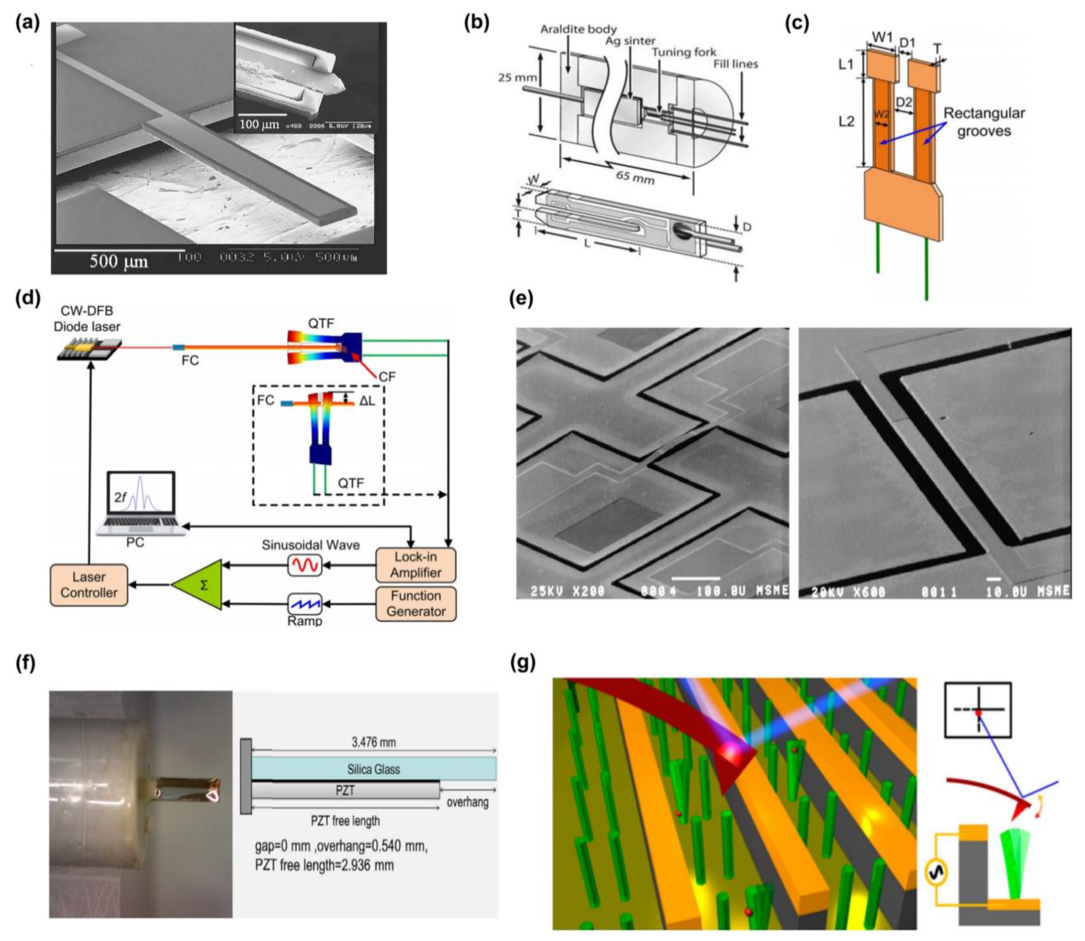 Sensors 24 03625 g002