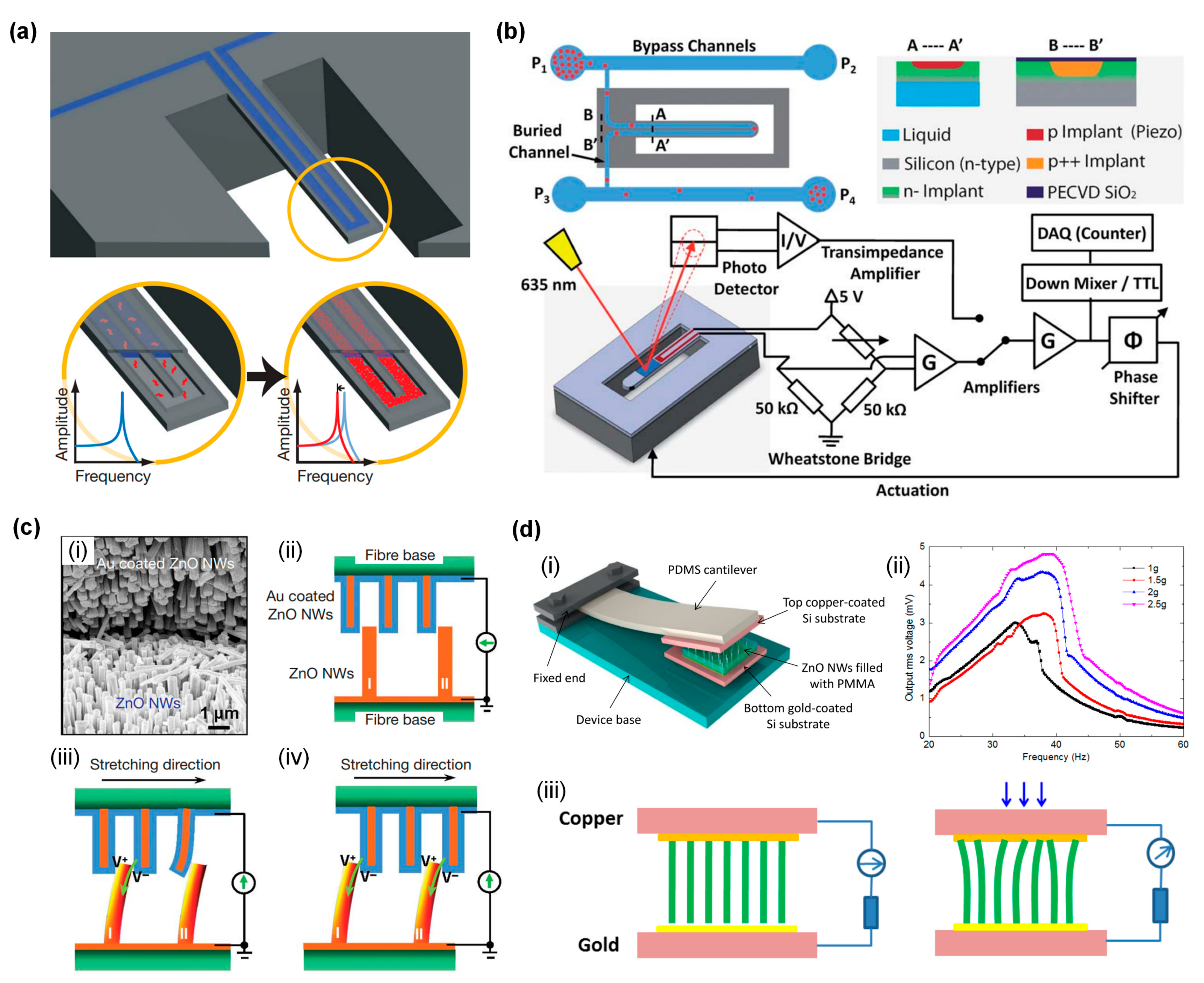 Sensors 24 03625 g006