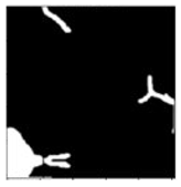 Sensors 24 03630 i017