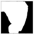 Sensors 24 03630 i021