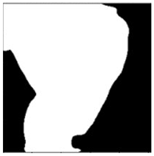 Sensors 24 03630 i022