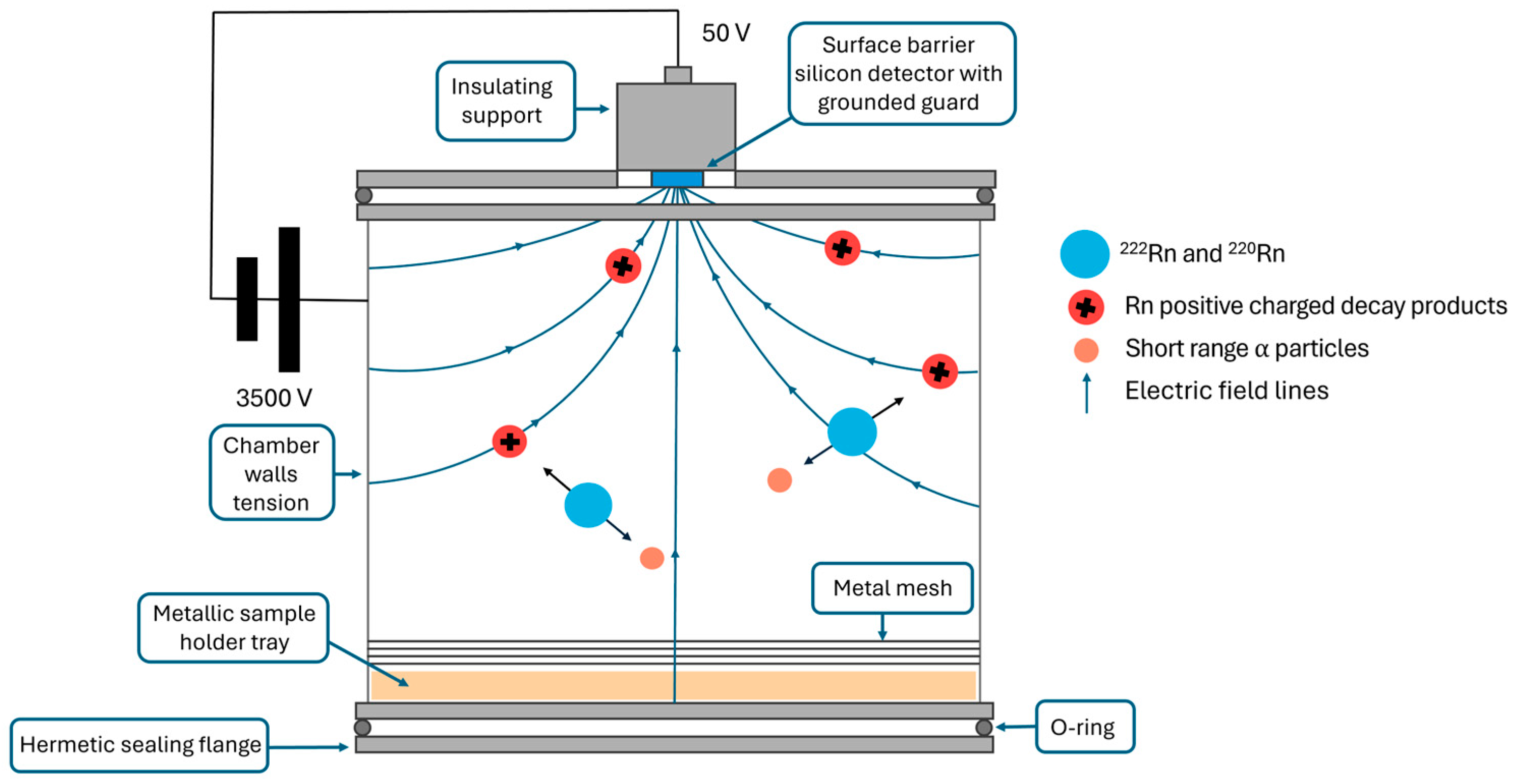Sensors 24 03633 g001