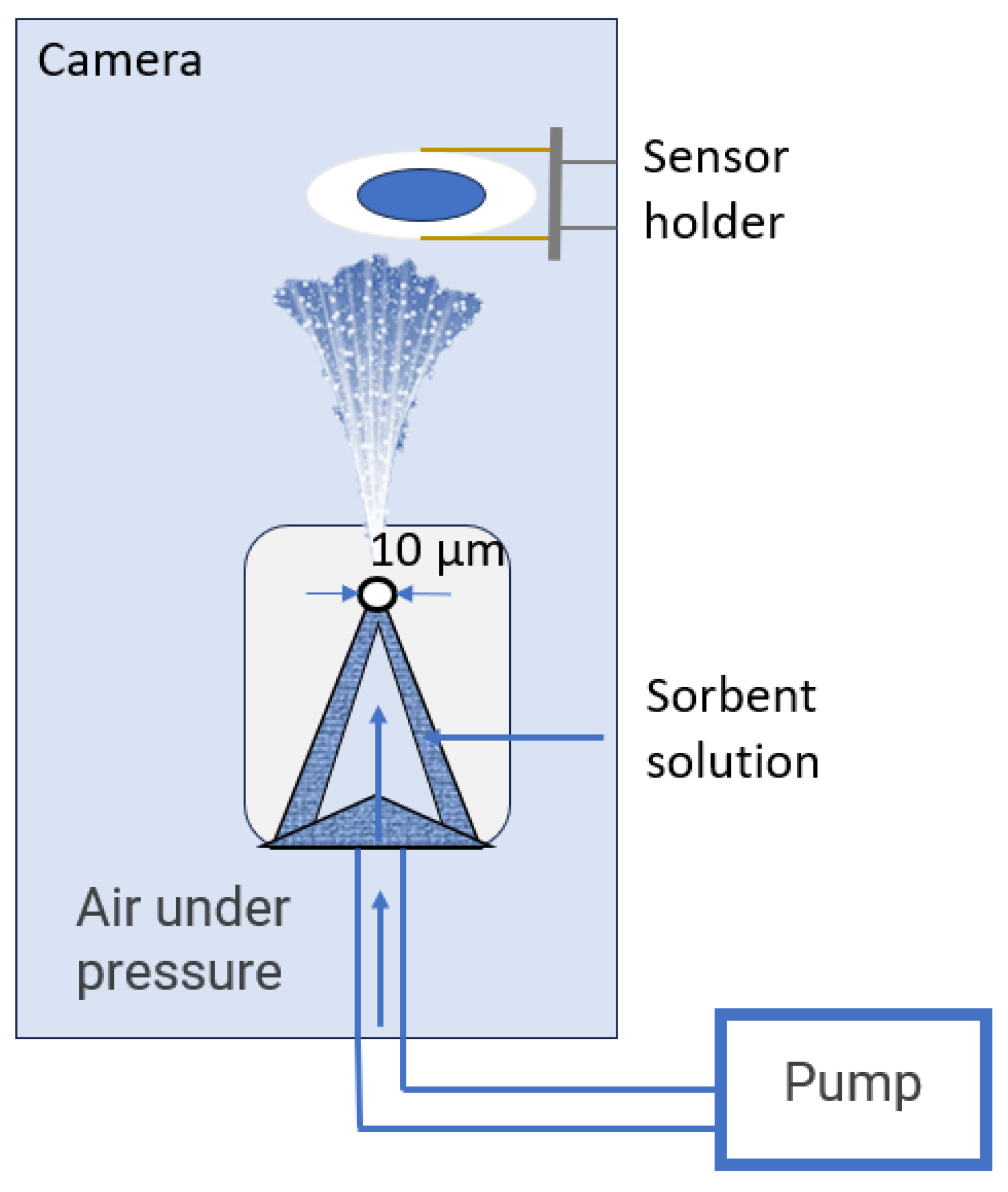 Sensors 24 03634 g001