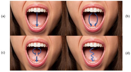 Sensors 24 03646 g001