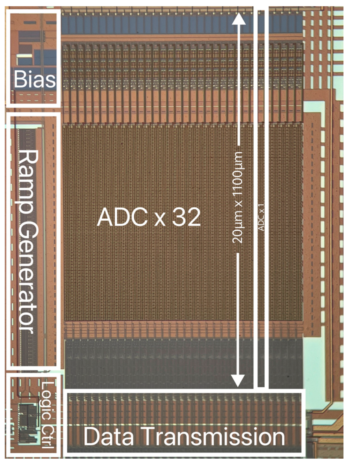 Sensors 24 03653 g006