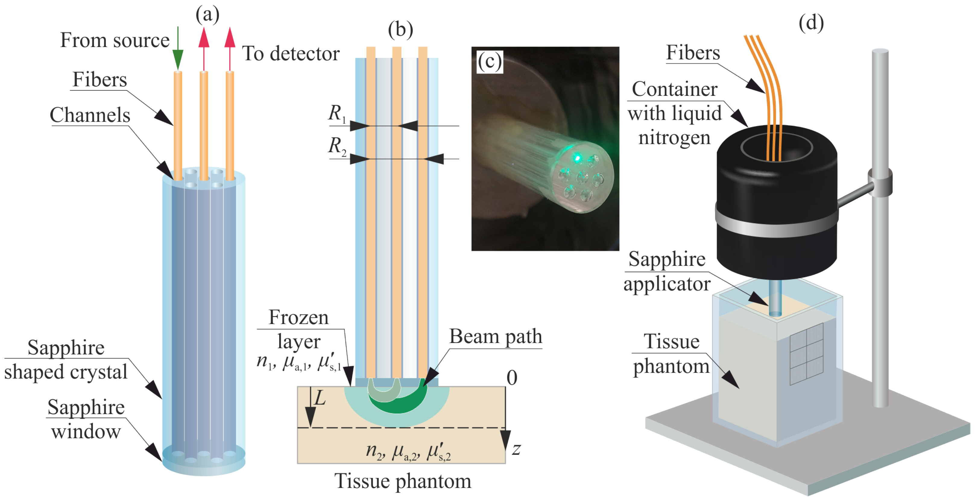 Sensors 24 03655 g001