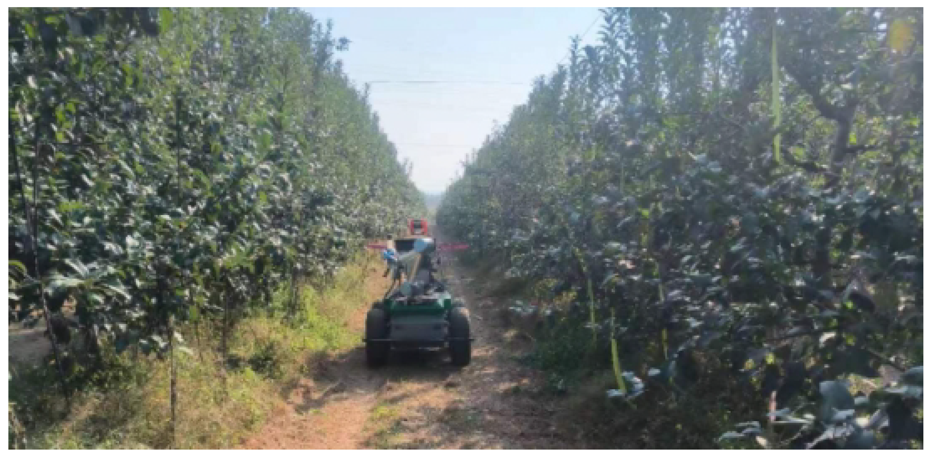 Sensors 24 03663 g001