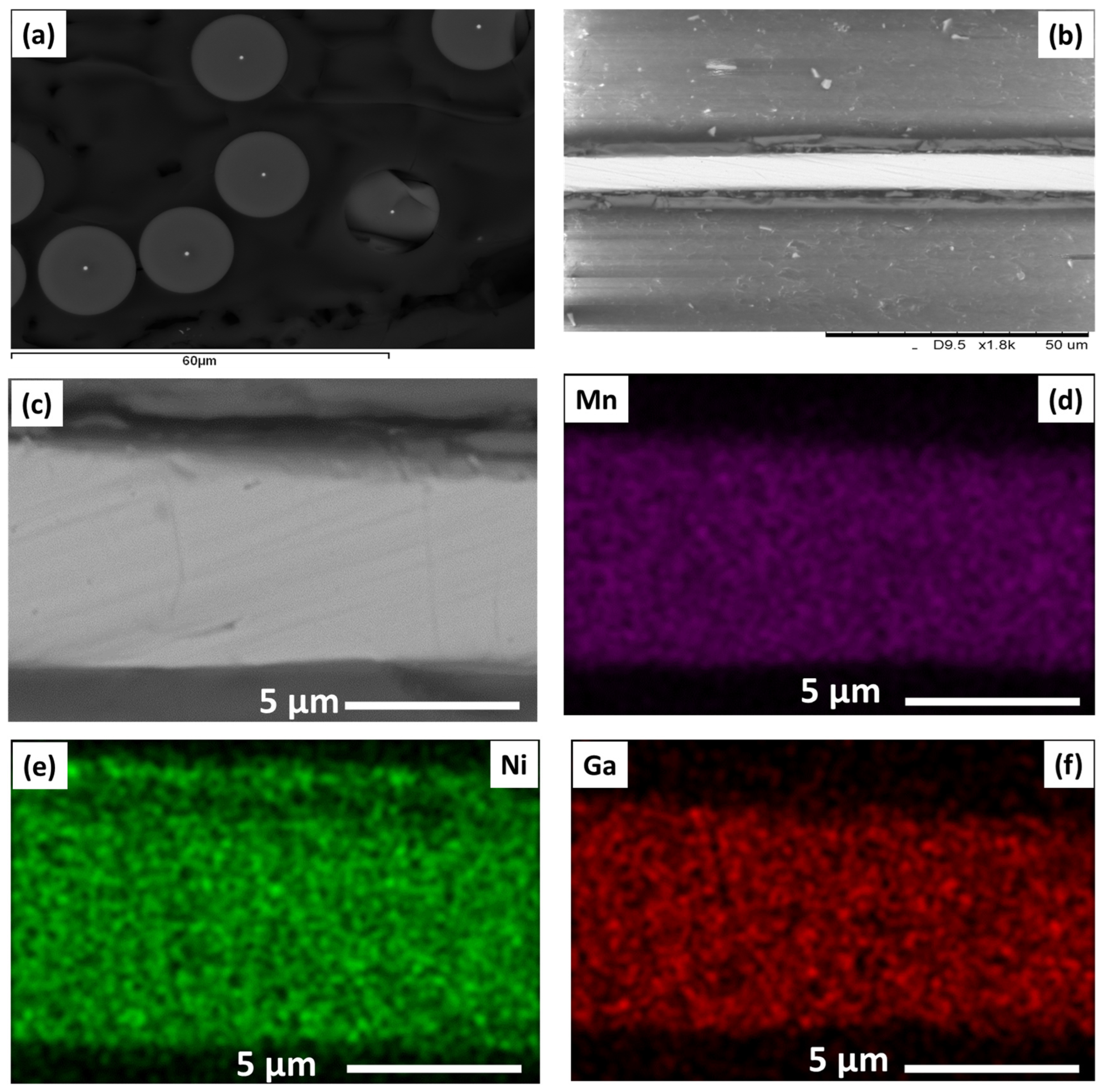 Sensors 24 03692 g001