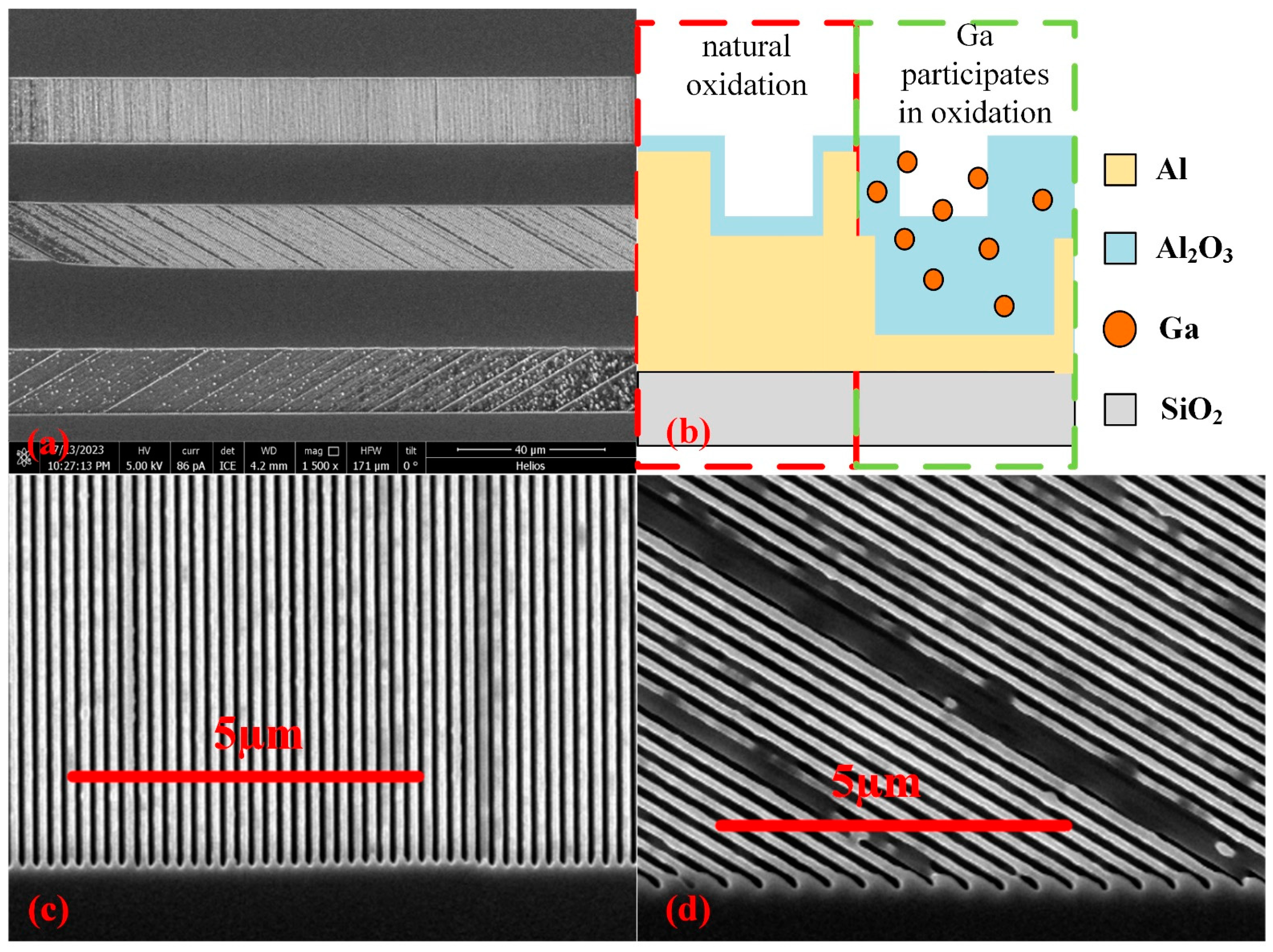 Sensors 24 03769 g007