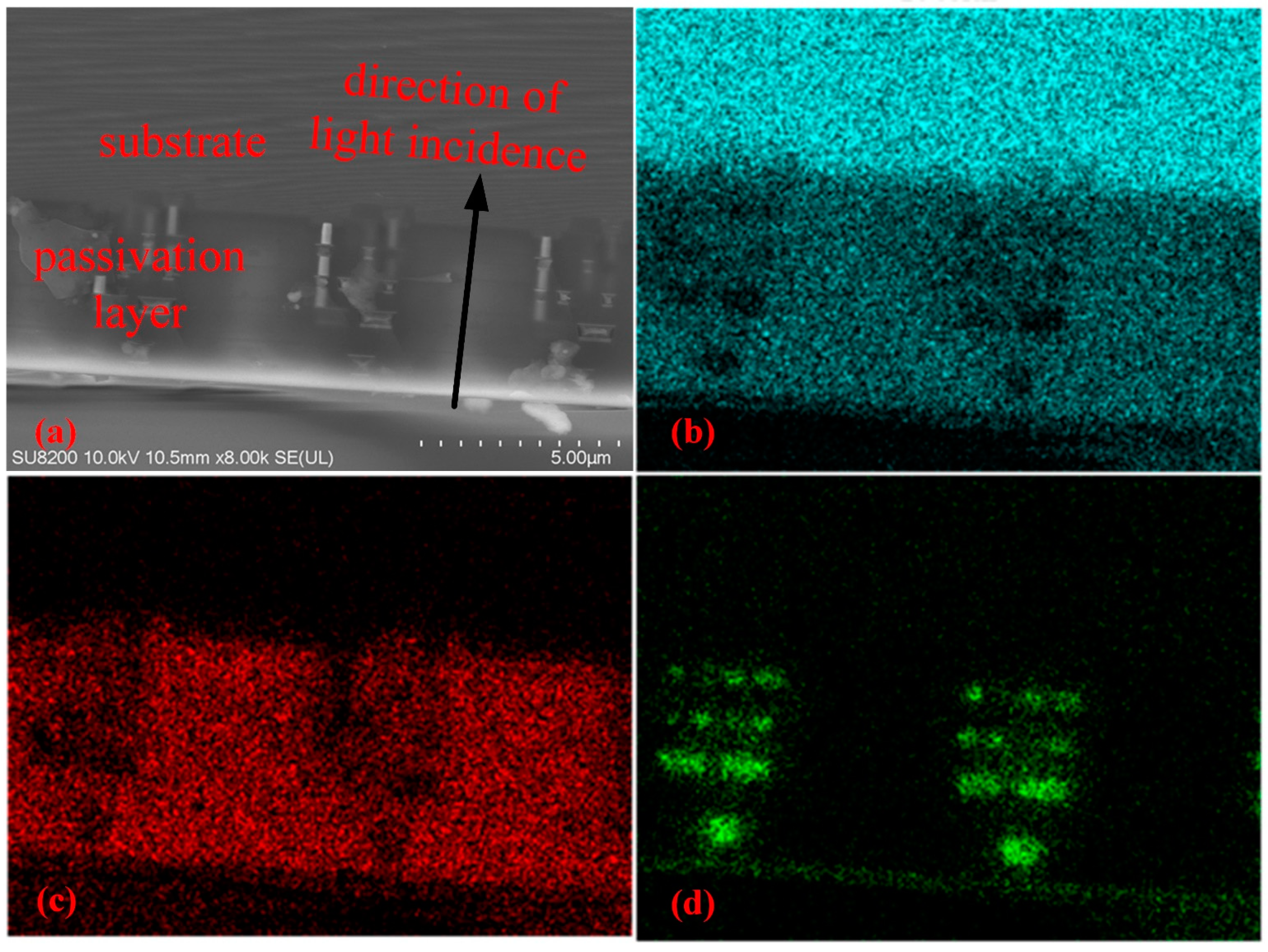 Sensors 24 03769 g009