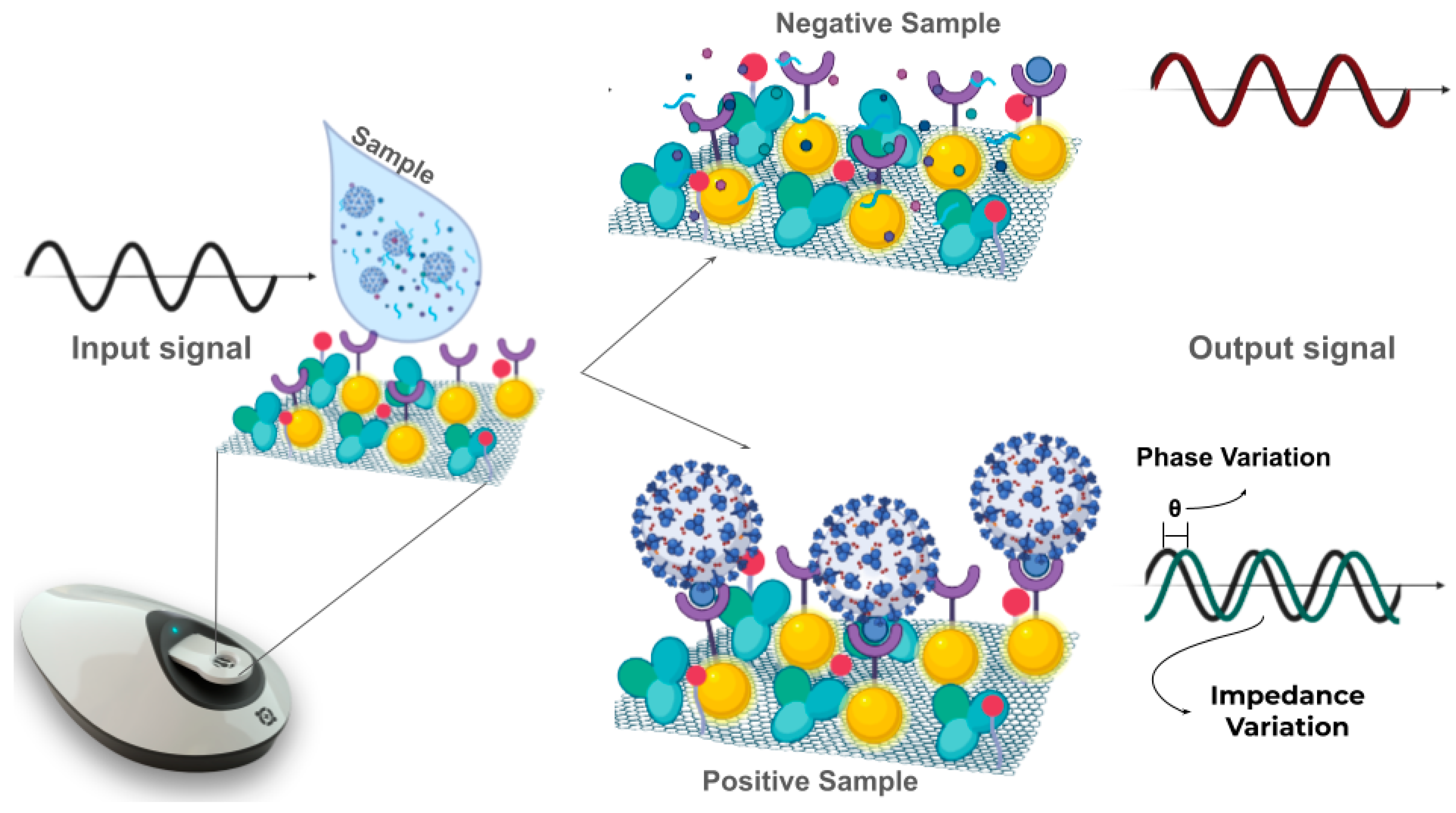 Sensors 24 03772 g002