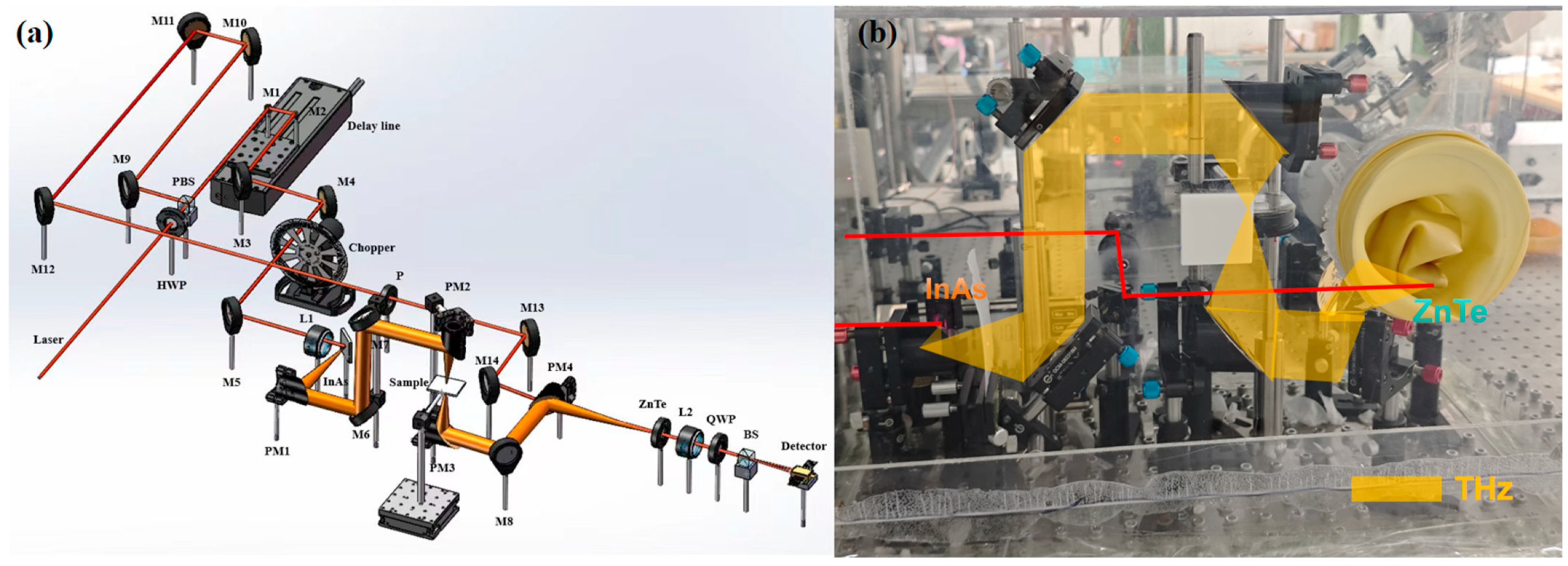 Sensors 24 03798 g002