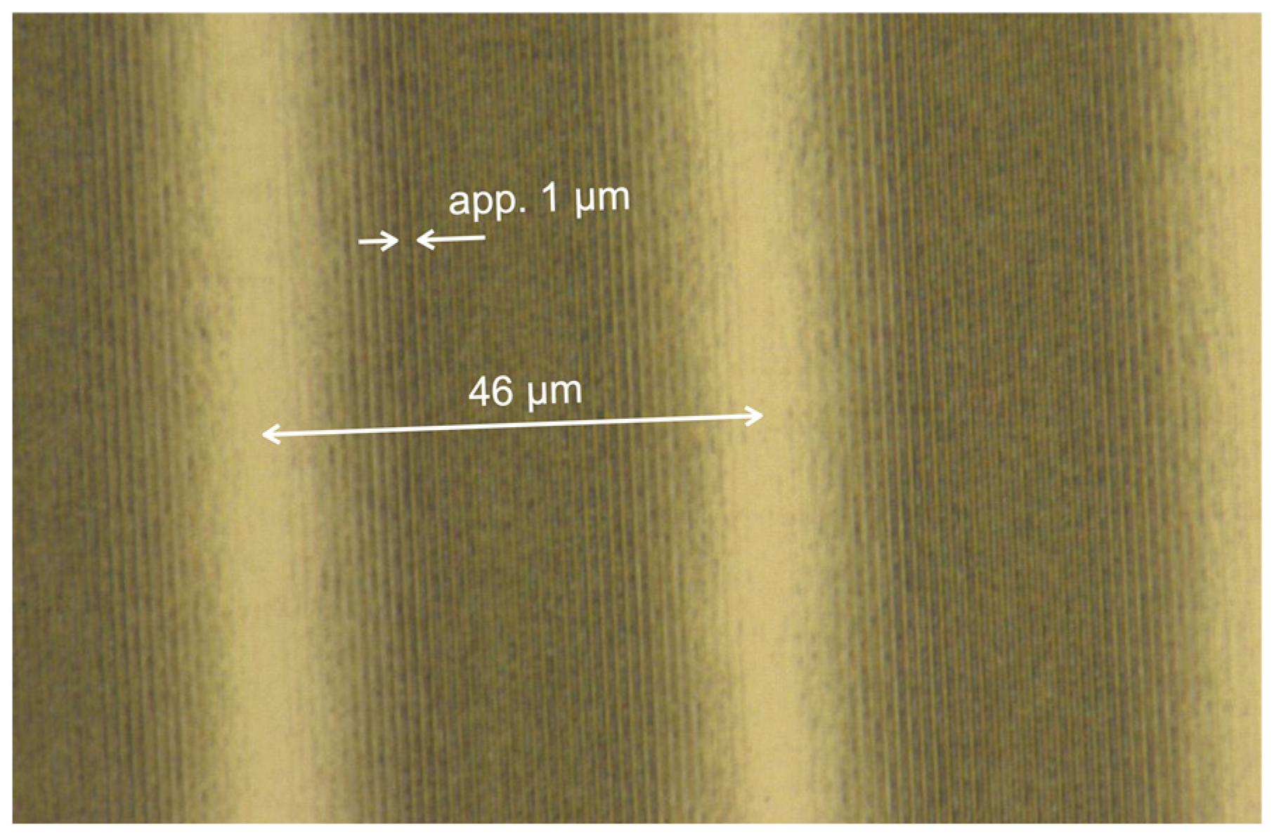 Sensors 24 03821 g006