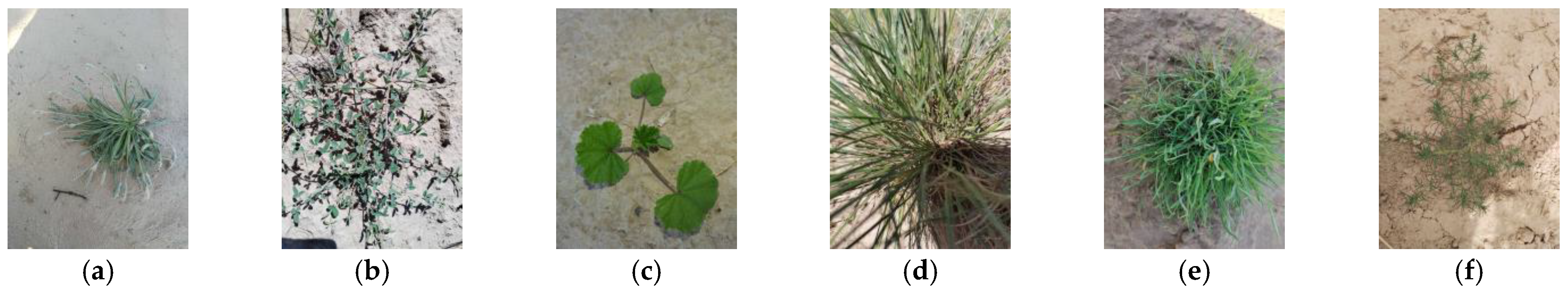 Sensors 24 03834 g007