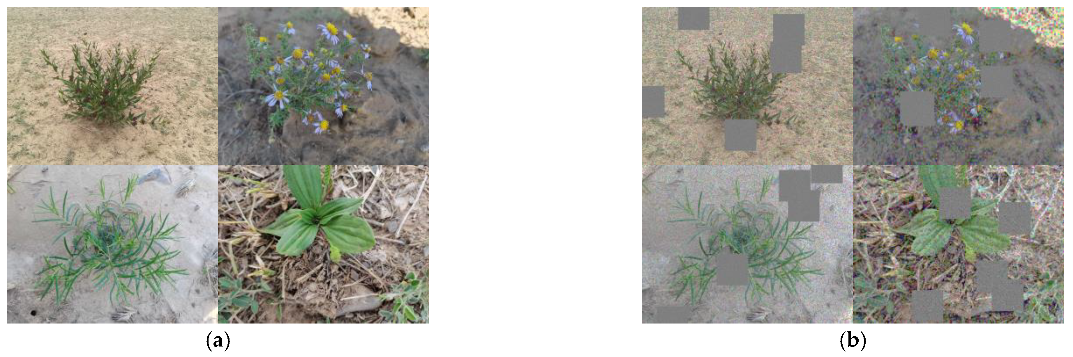 Sensors 24 03834 g008