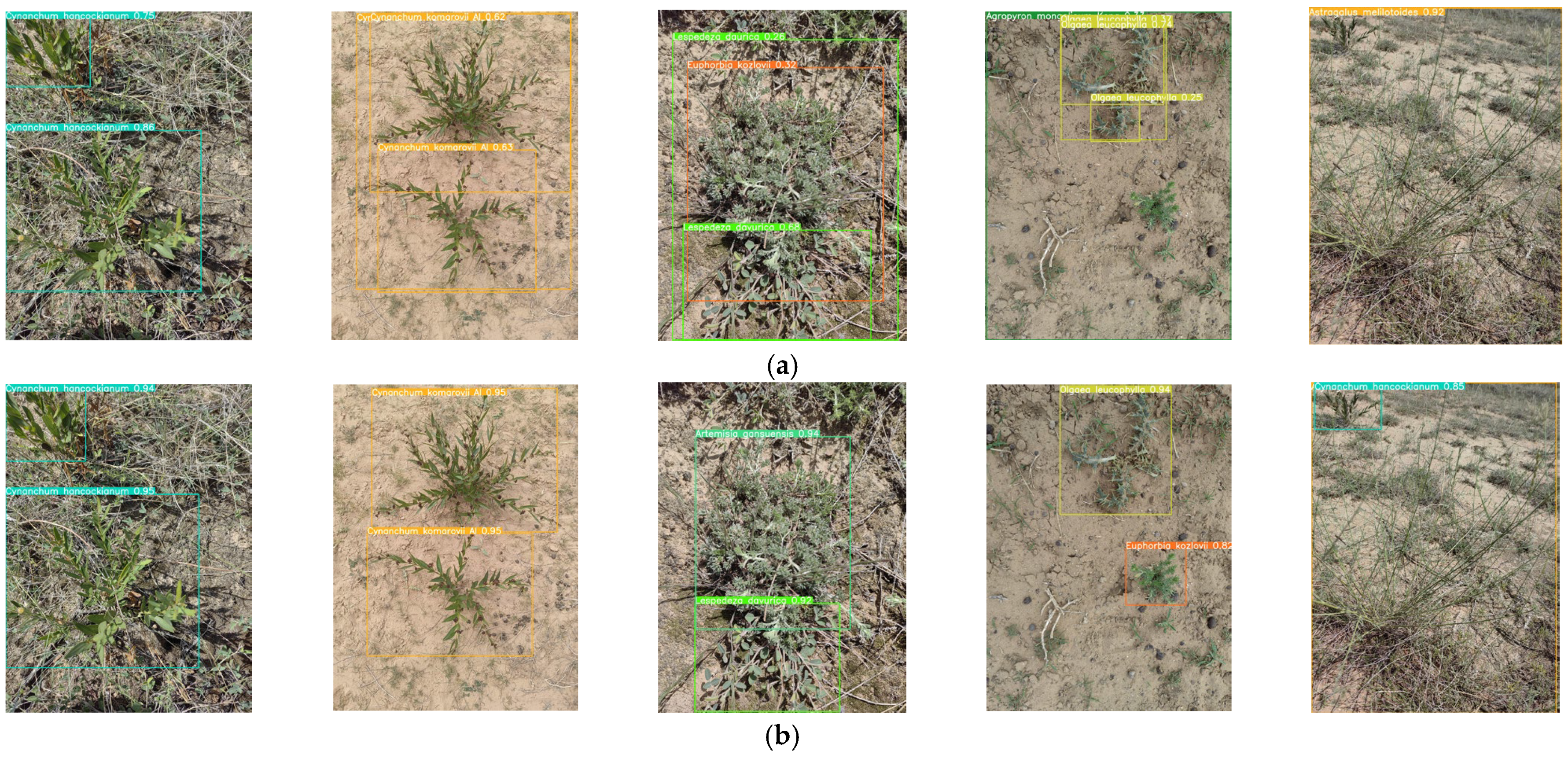 Sensors 24 03834 g015