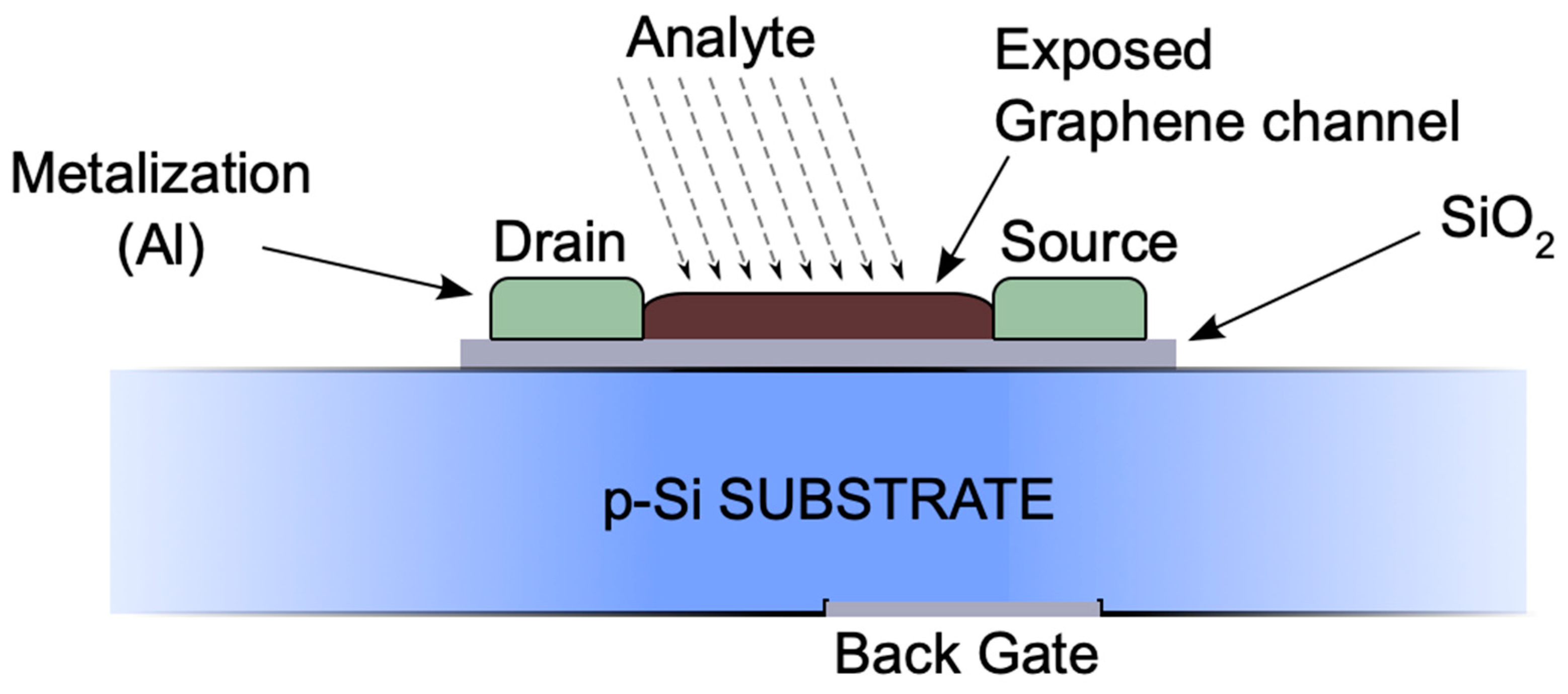 Feield Effect Transistor Low-Cost Source Measure Unit (SMU) to Characterize Sensors Built on ...