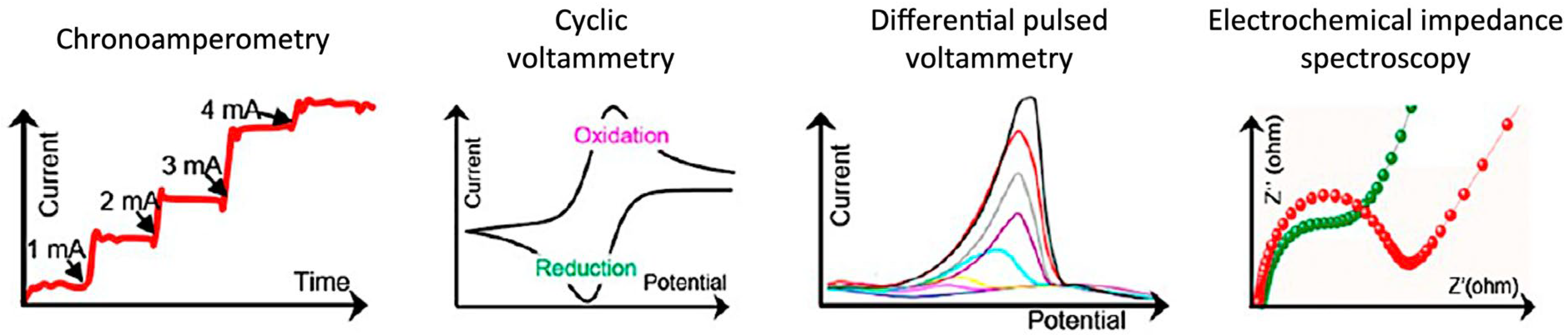 Sensors 24 03855 g002