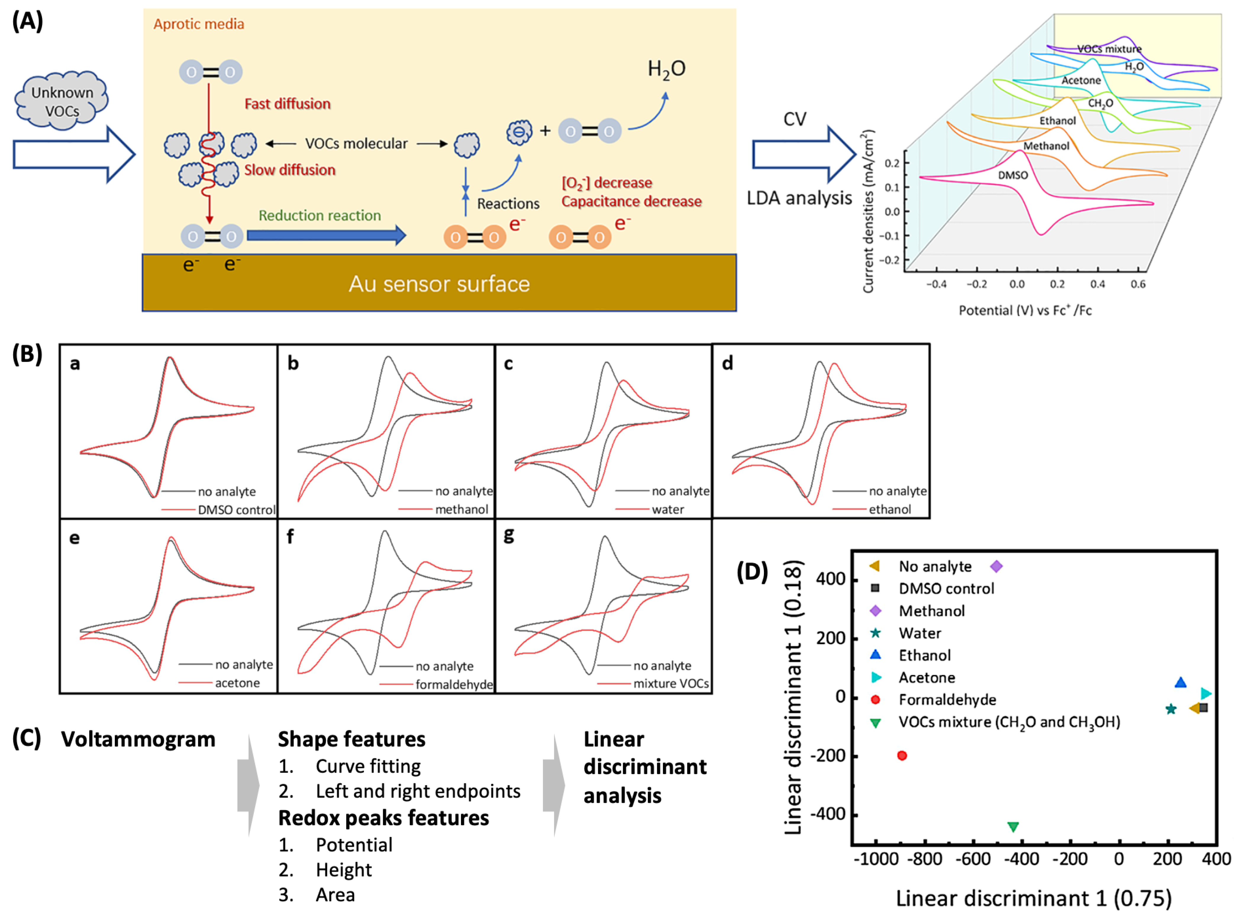 Sensors 24 03855 g006