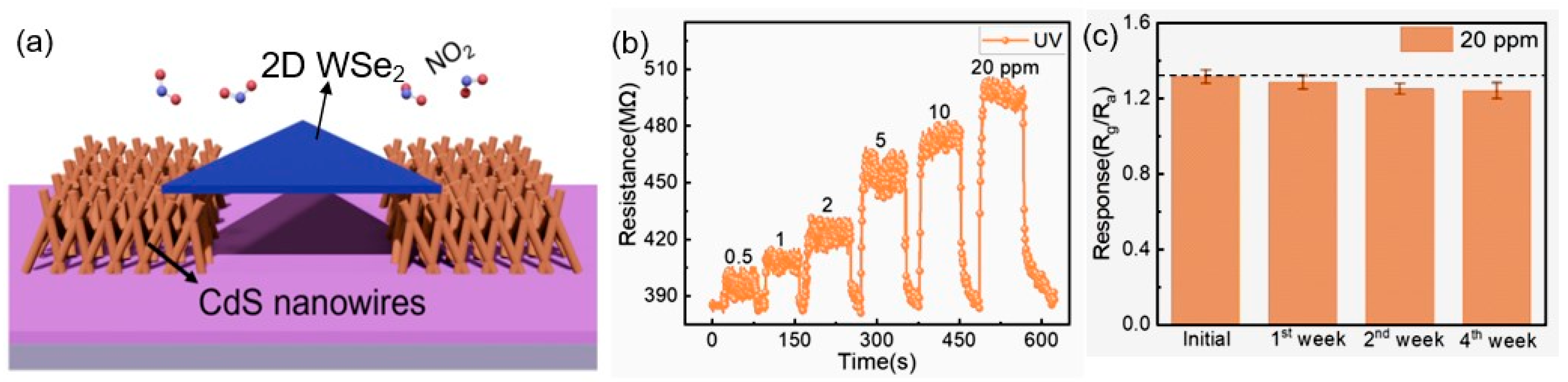 Sensors 24 03861 g008