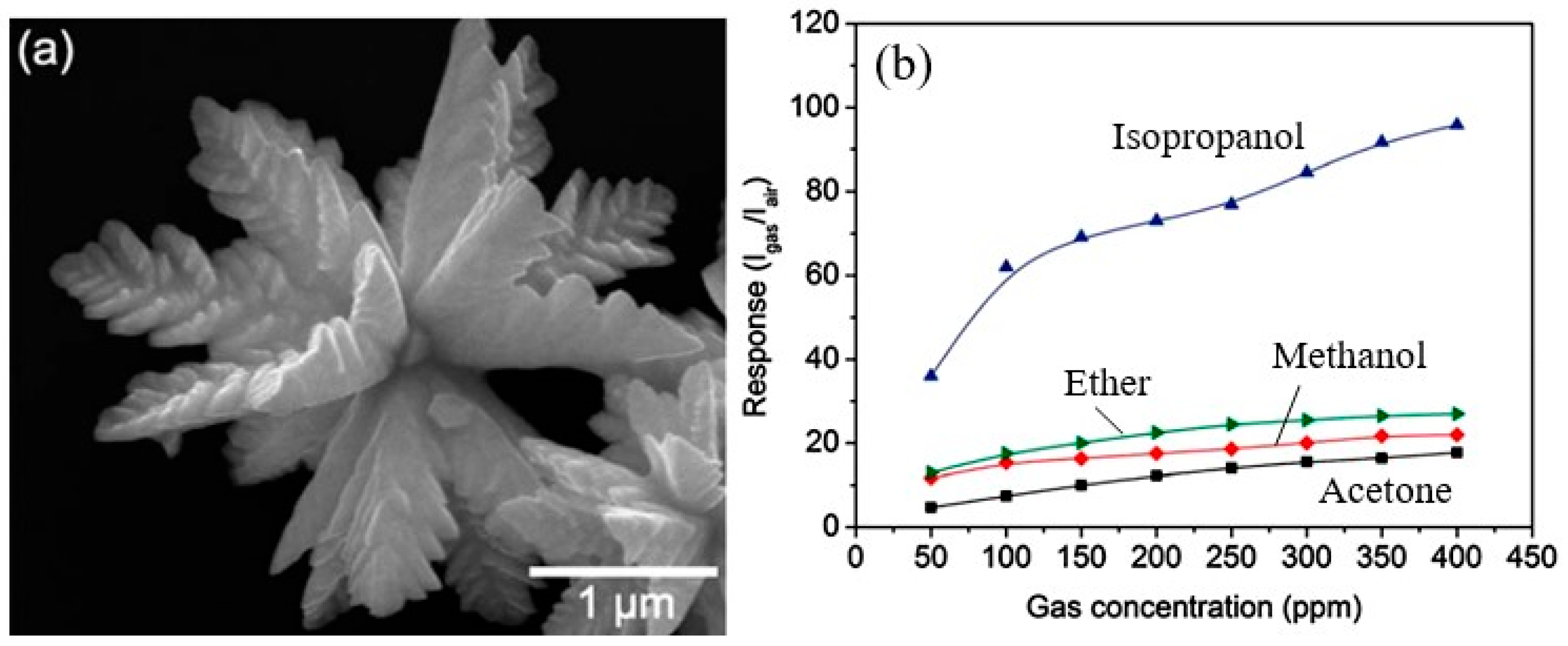 Sensors 24 03861 g009
