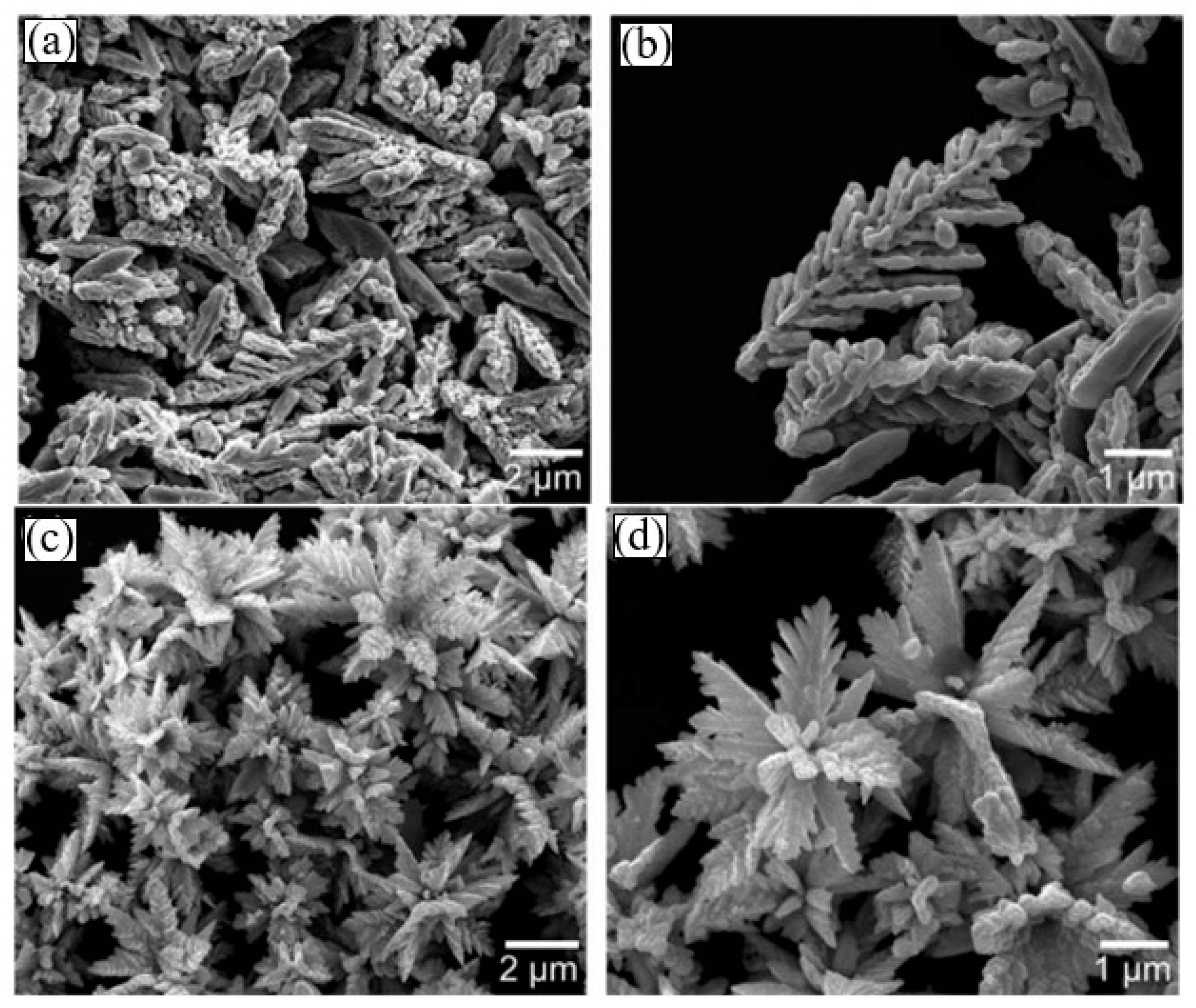 Sensors 24 03861 g011