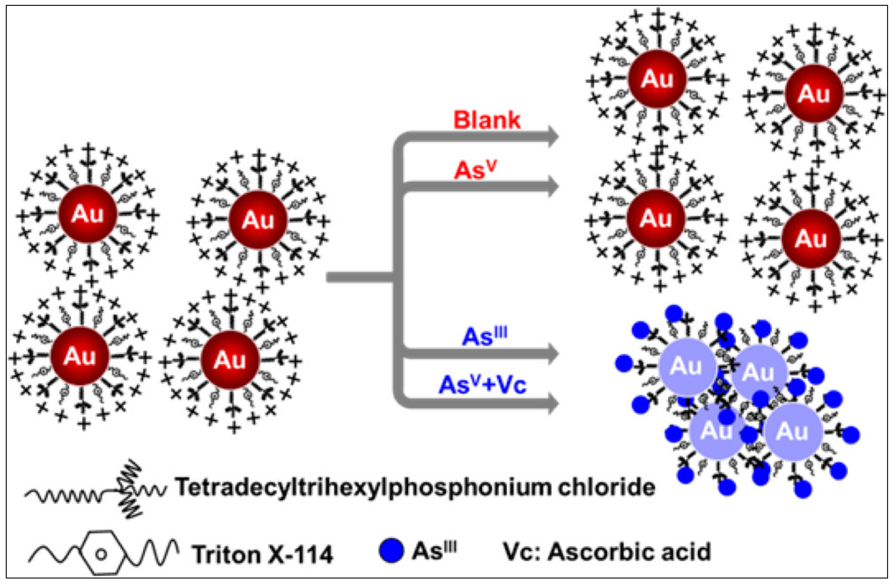 Sensors 24 03889 g009