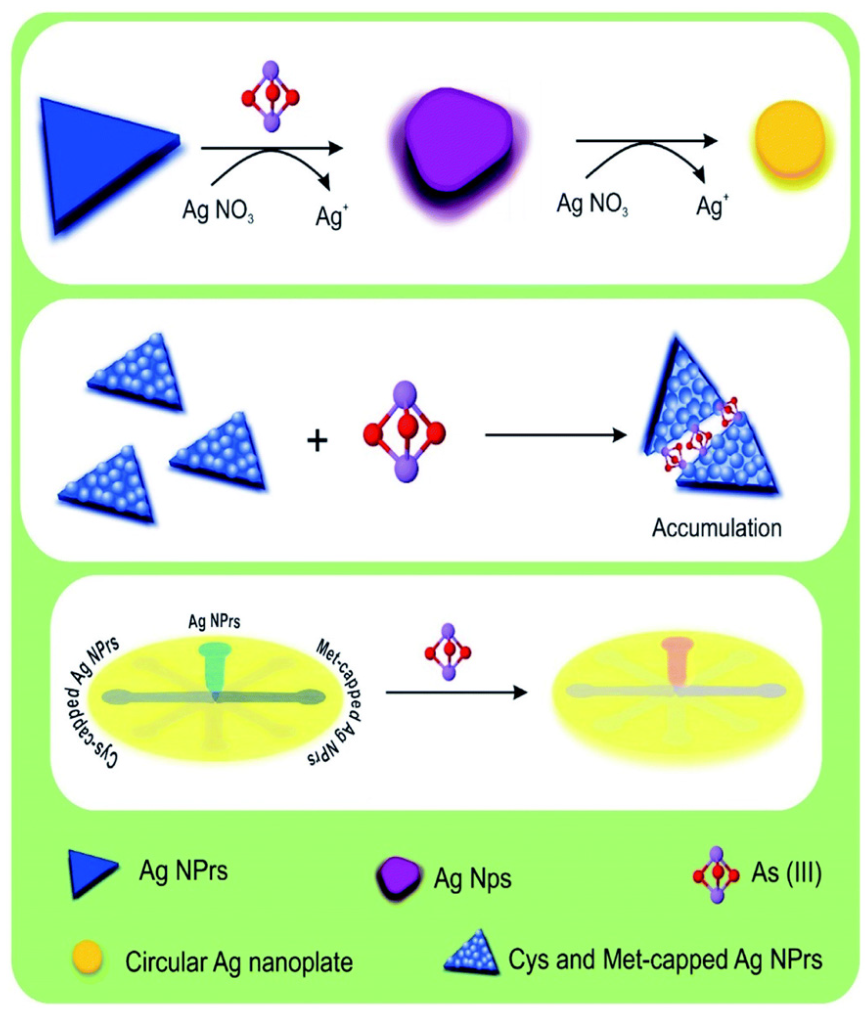 Sensors 24 03889 g011