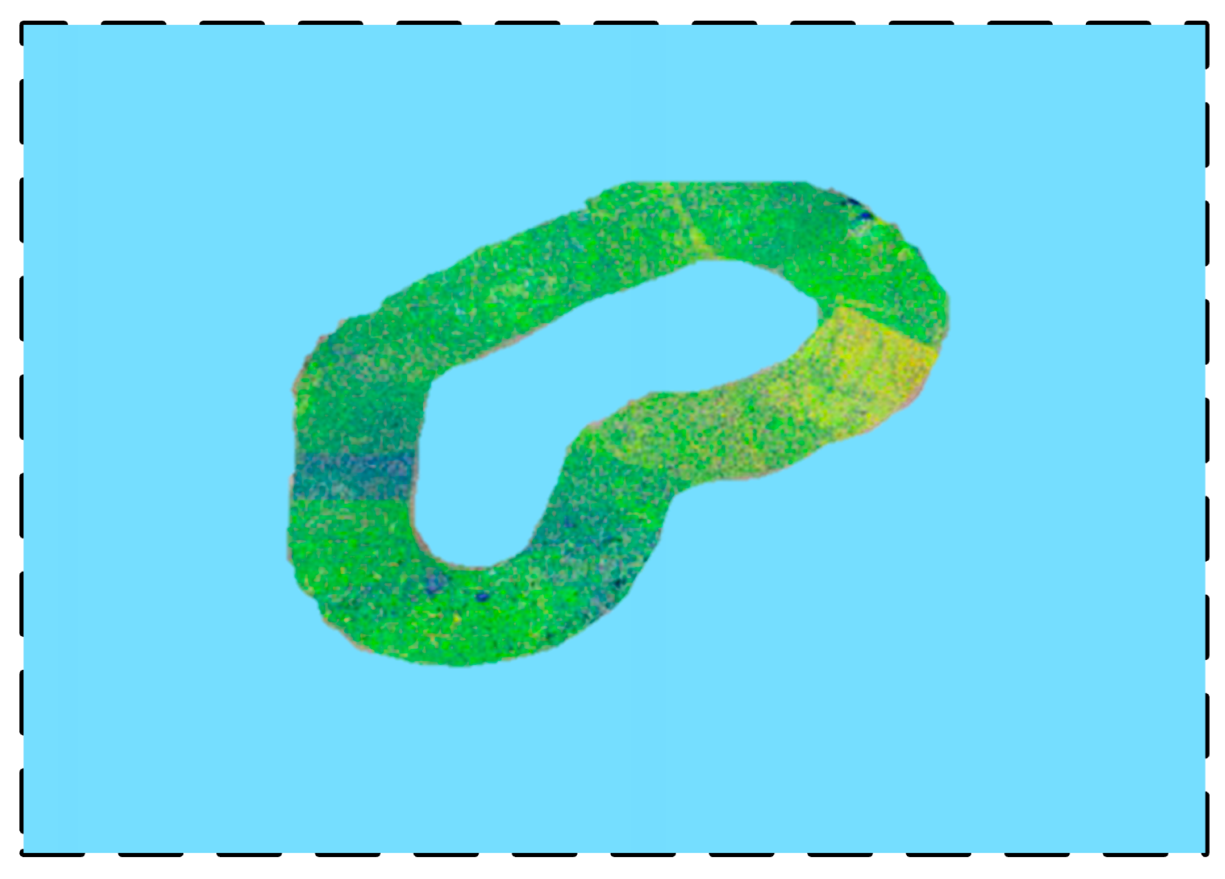 Sensors 24 03896 g012