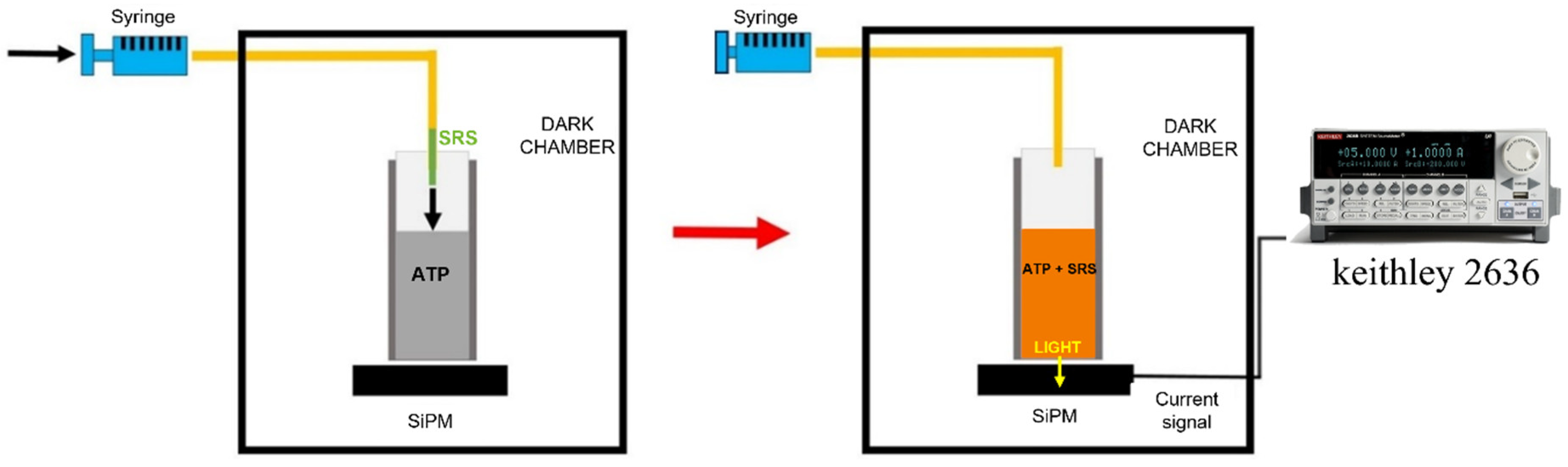 Sensors 24 03921 g001