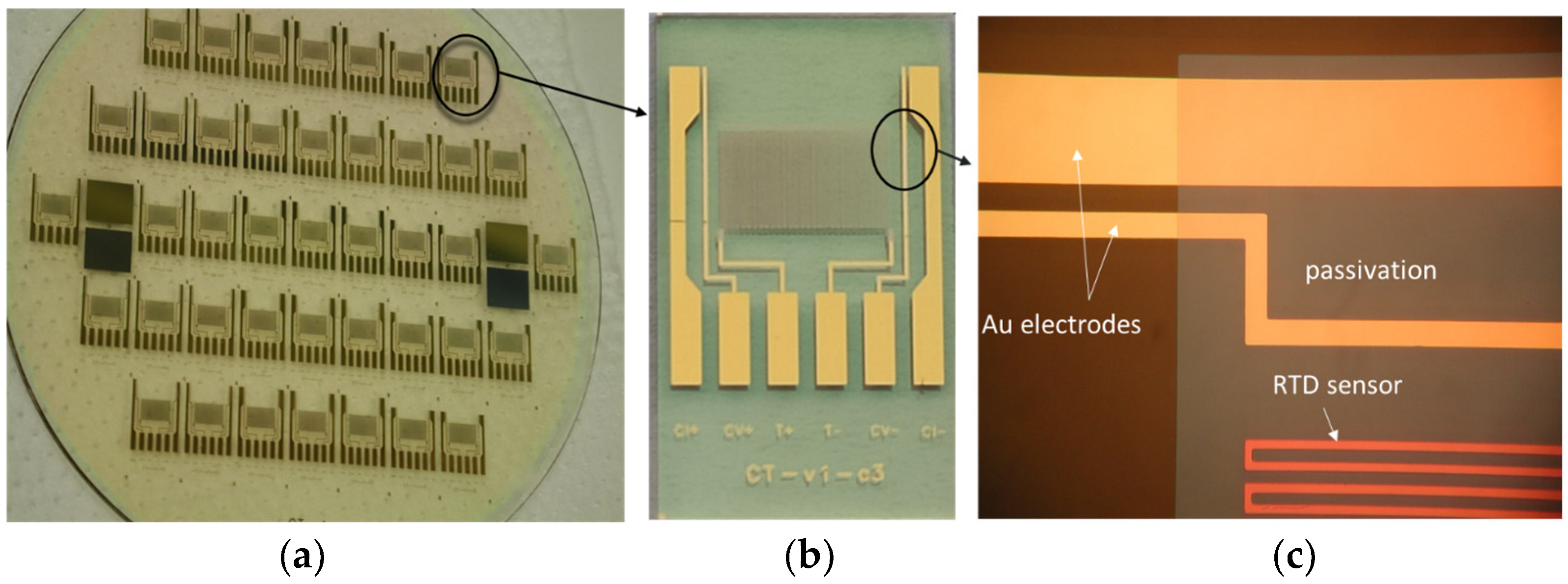 Sensors 24 03940 g004
