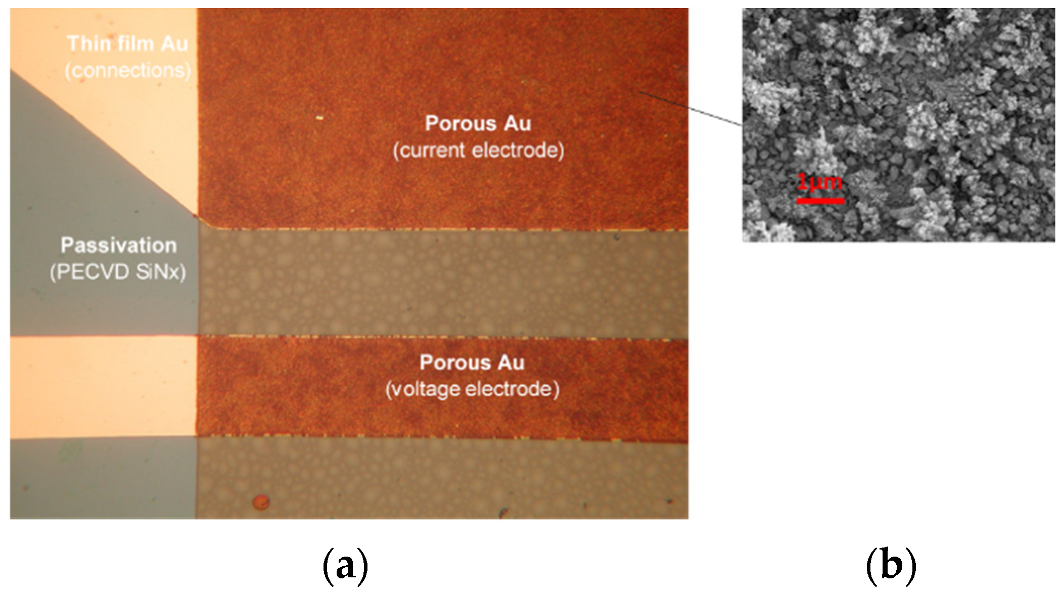 Sensors 24 03940 g006