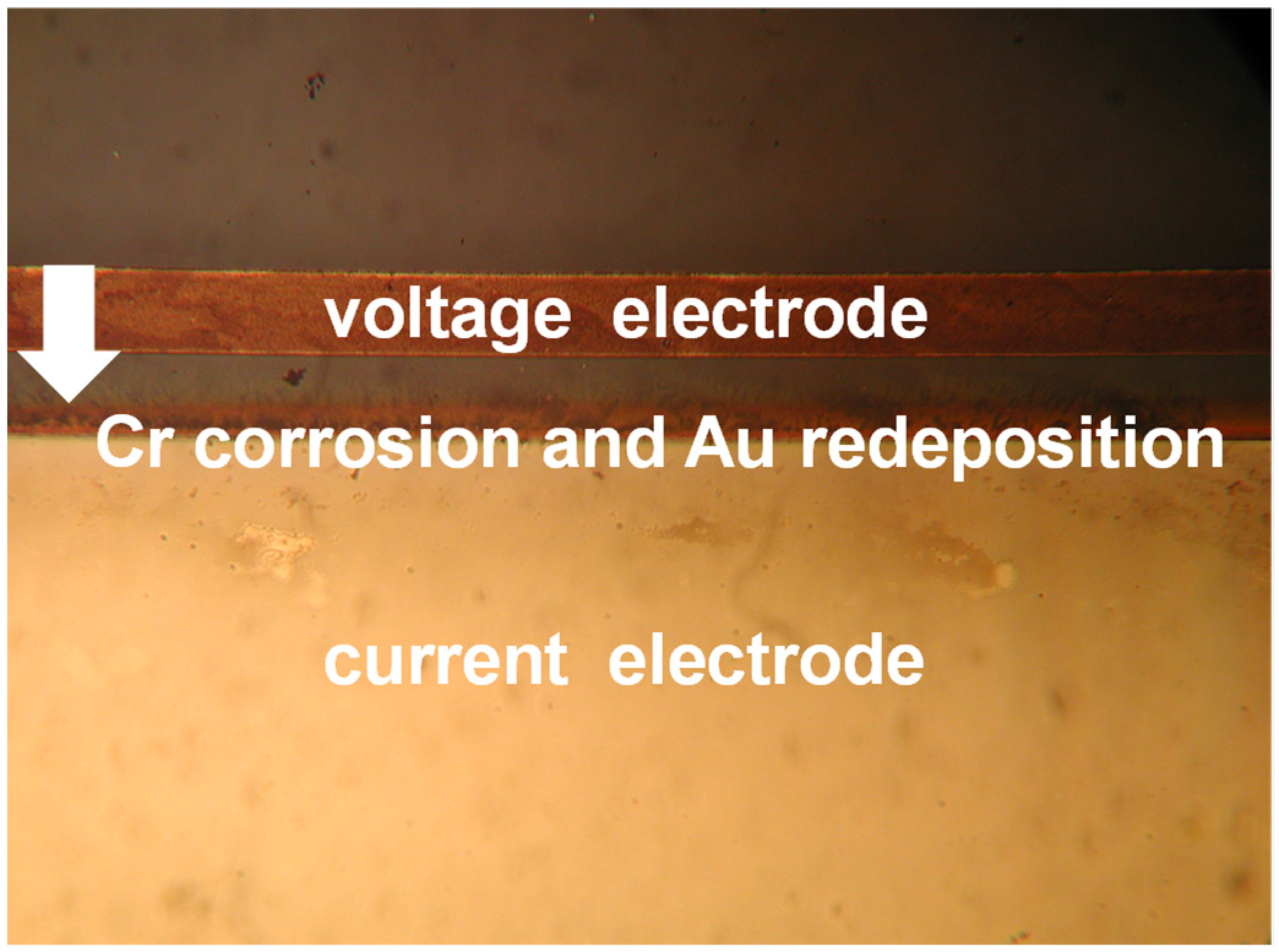Sensors 24 03940 g011