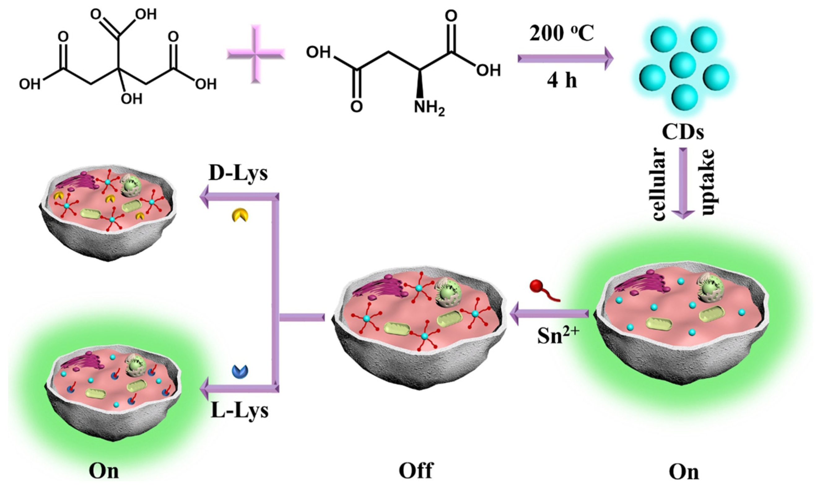 Sensors 24 03945 g010