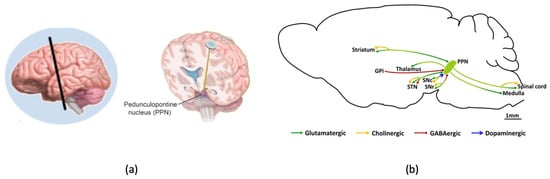 Sensors 24 03959 g001