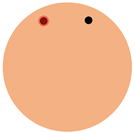 Sensors 24 03960 i005