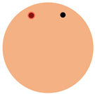 Sensors 24 03960 i006