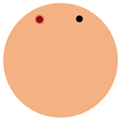 Sensors 24 03960 i007