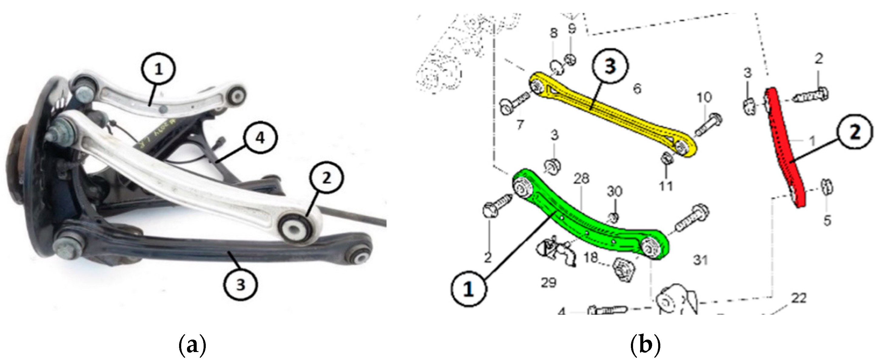 Sensors 24 04048 g001