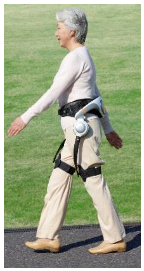 Sensors 24 04081 i001